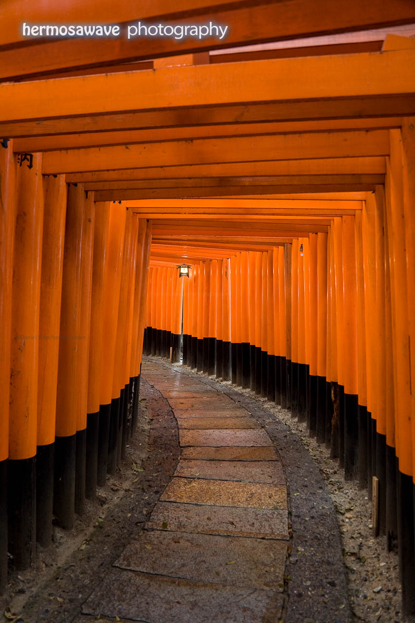 A Thousand Orange Arches