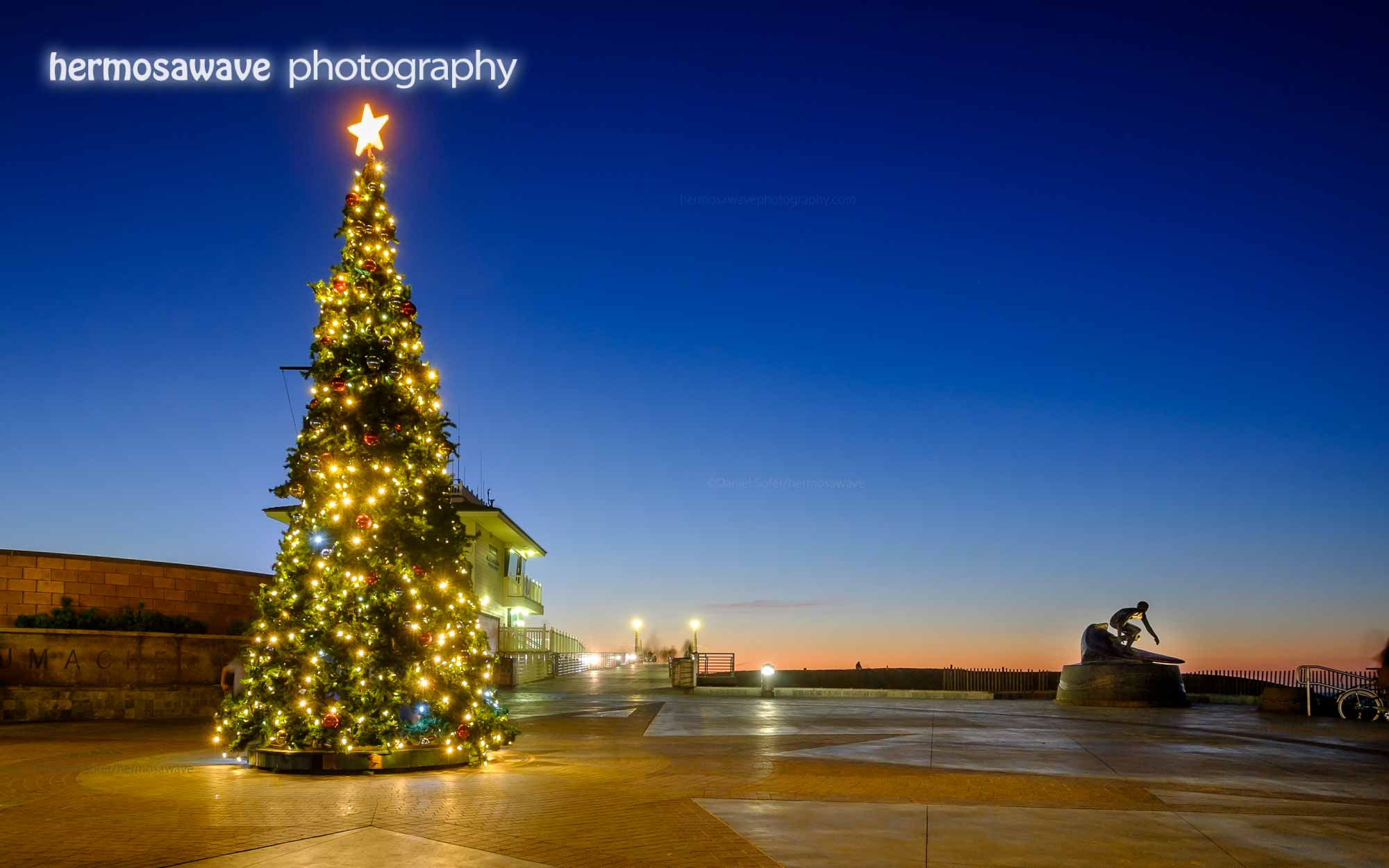 Pier Plaza Christmas Tree