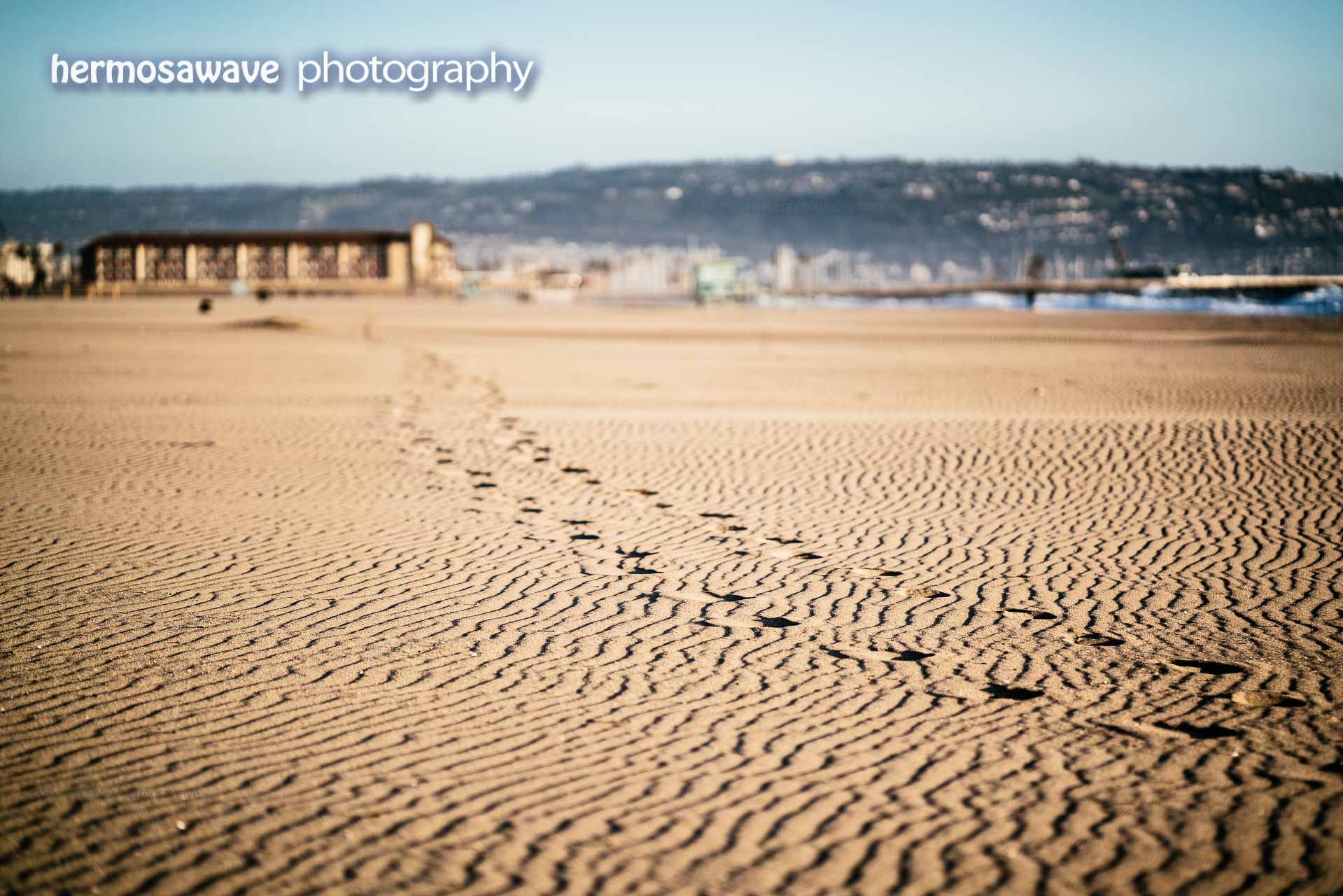 Footsteps on the Sand
