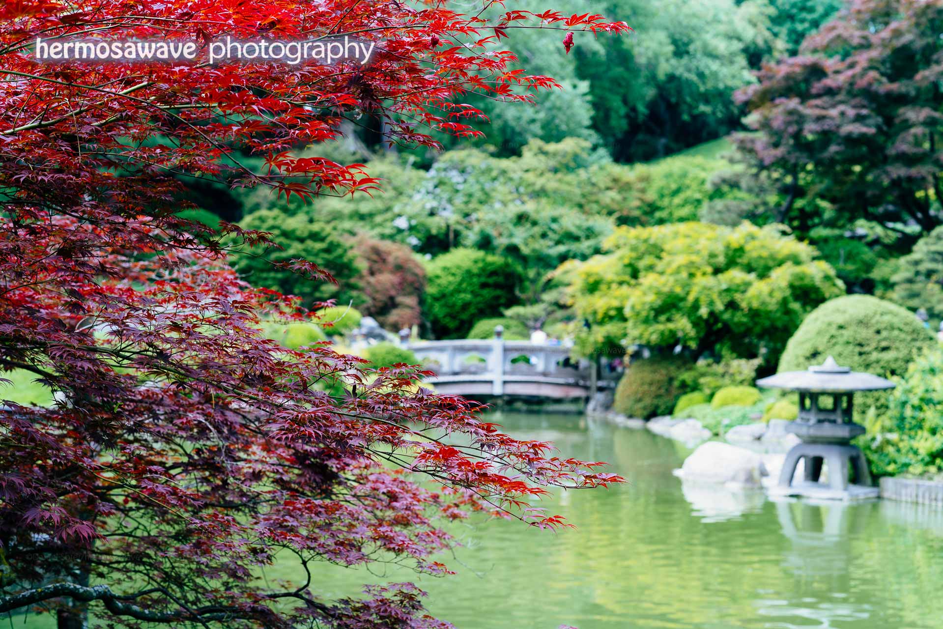 Japanese Garden at Brooklyn Botanic Garden
