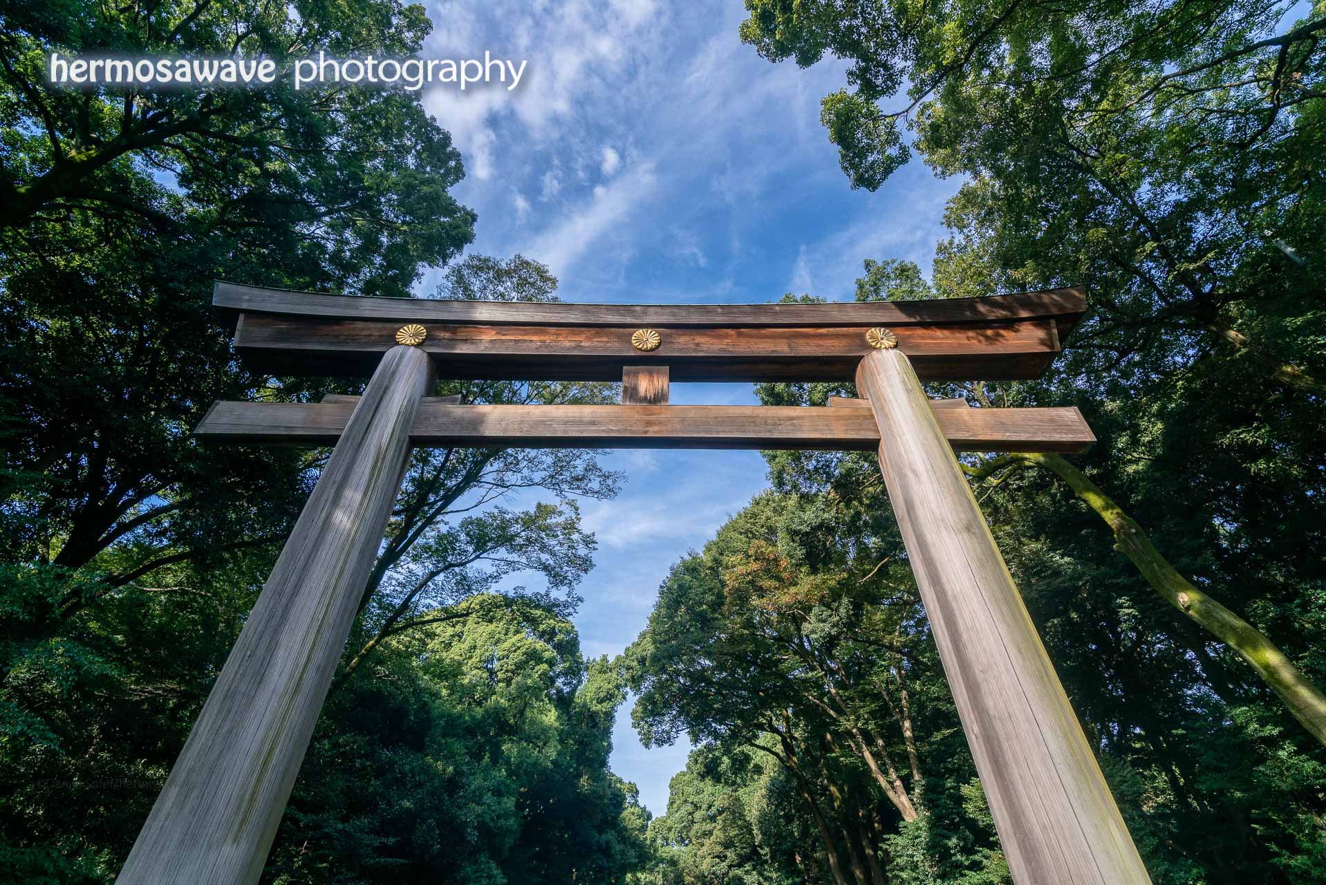 Meiji Jingu Gate