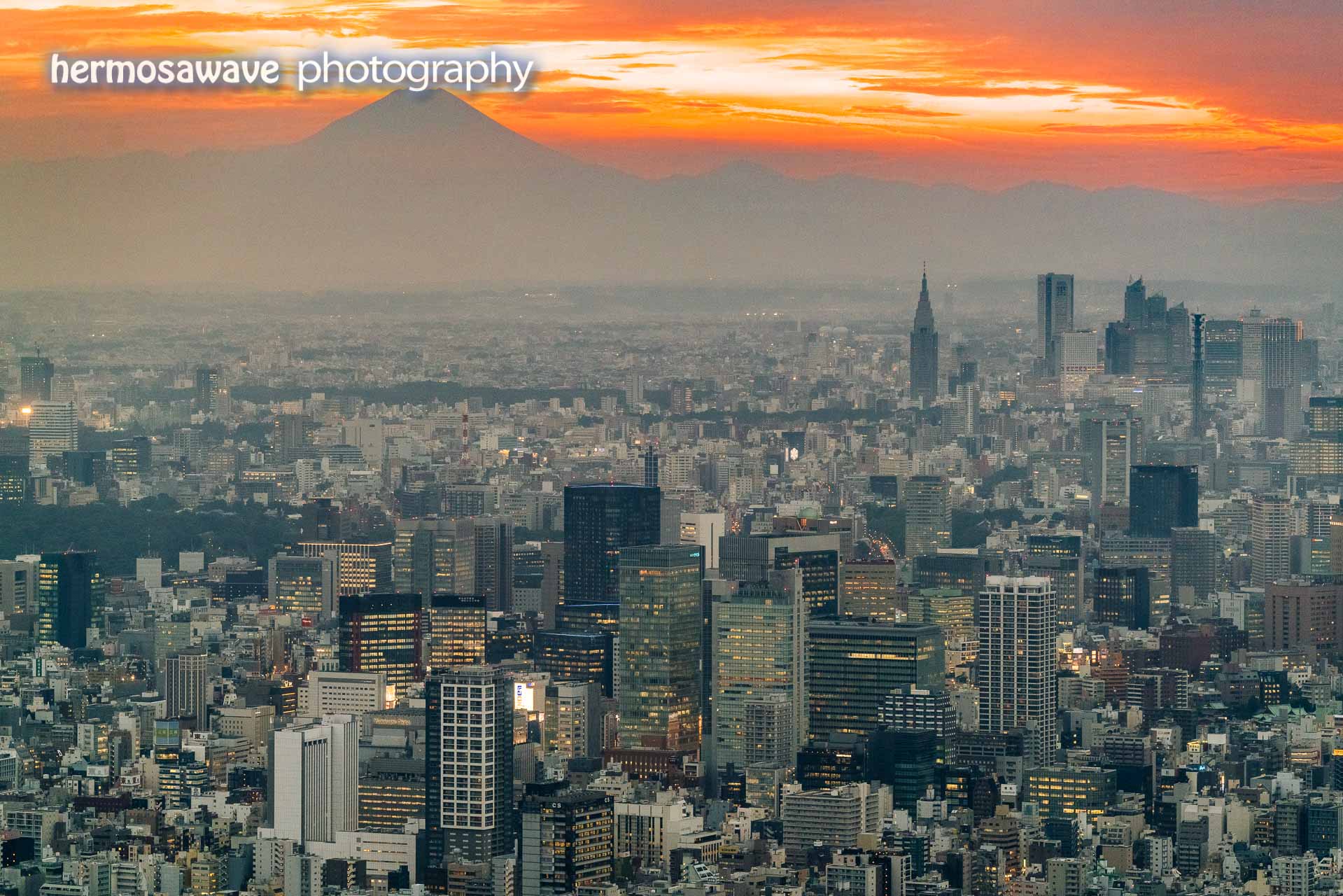 Tokyo Skyline at Dusk