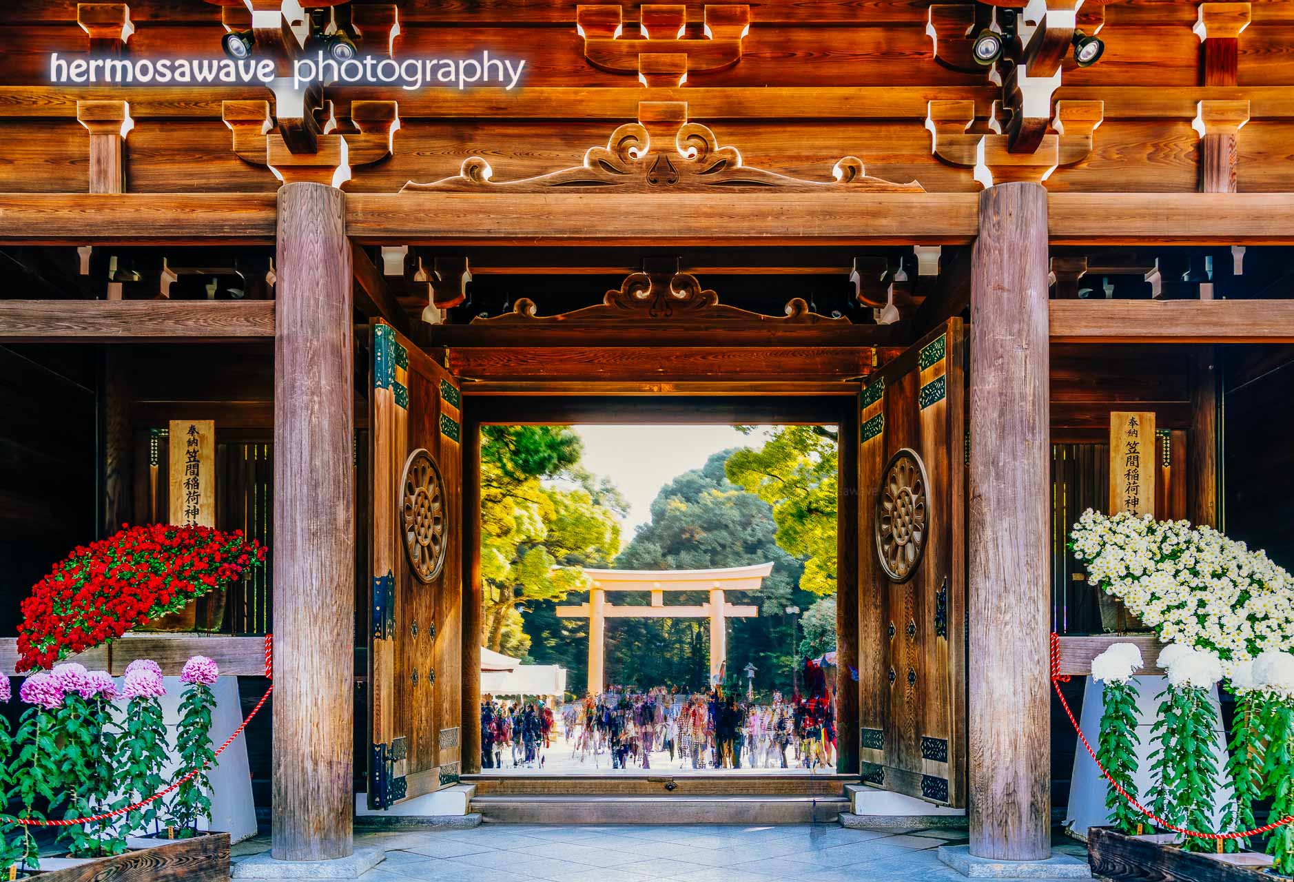 Main Hall Gate at Meiji Shrine