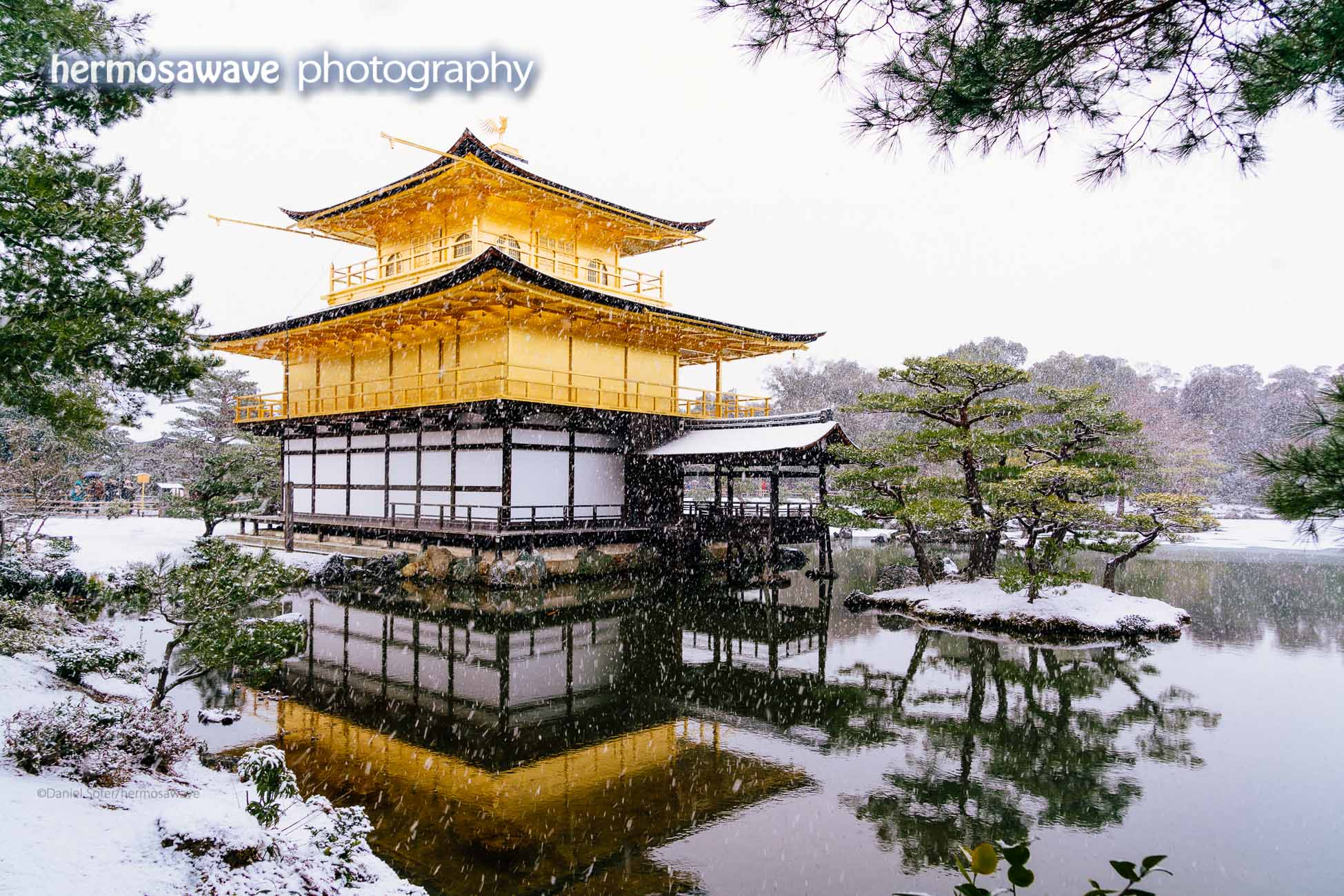 Kinkaku-ji in Snow 雪の金閣寺