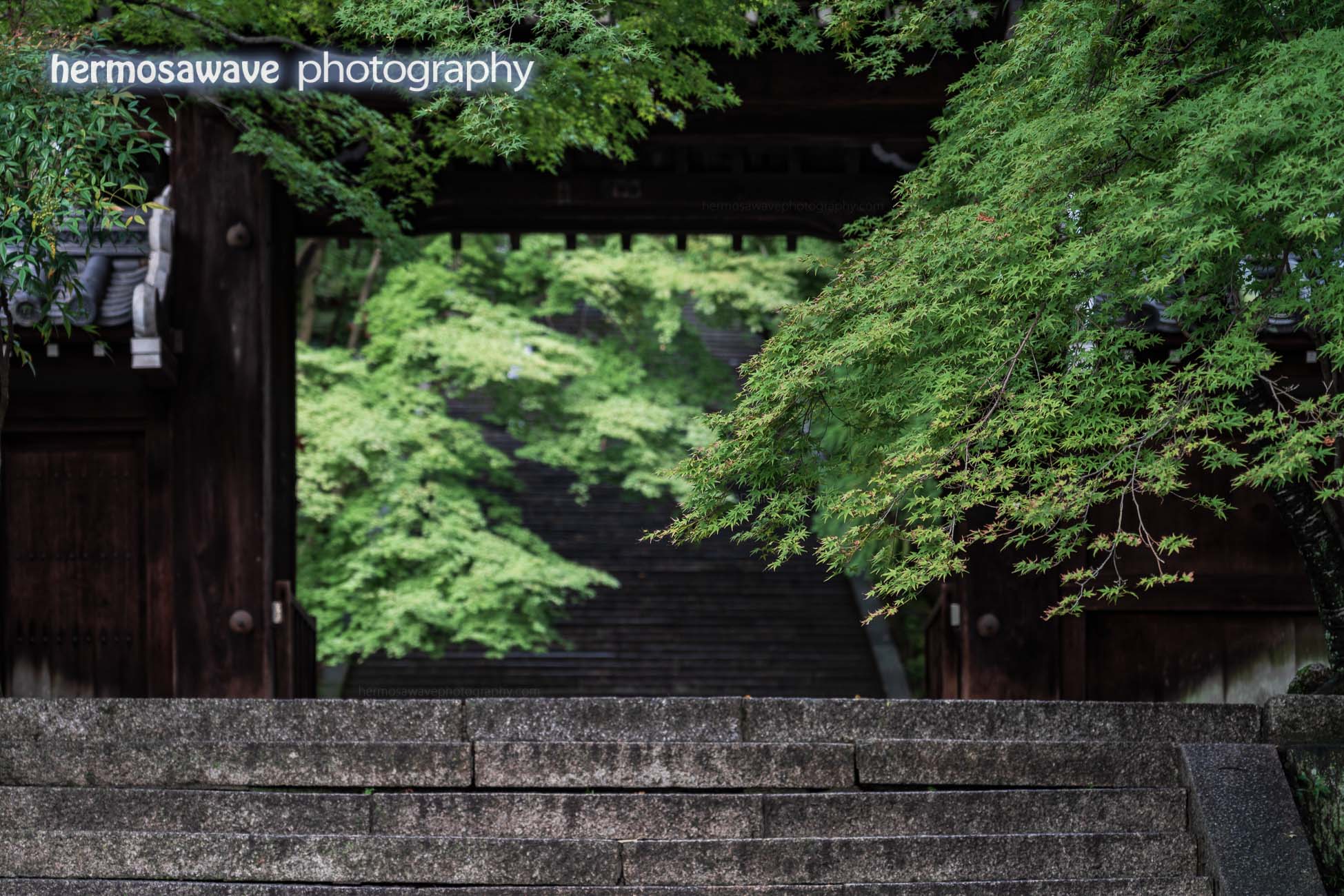 Steps at Horin-ji