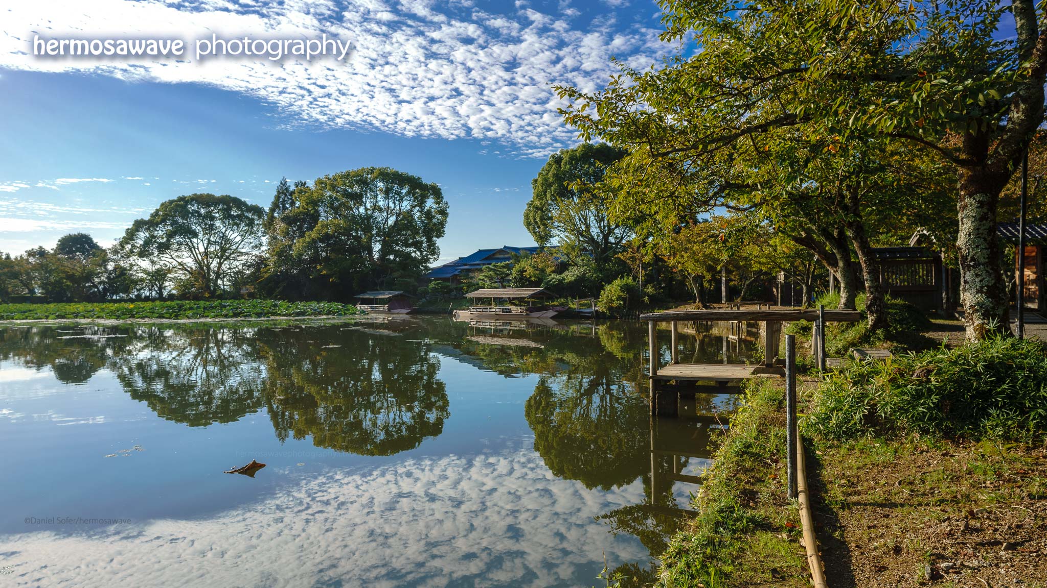 Morning at Osawa Ike Pond