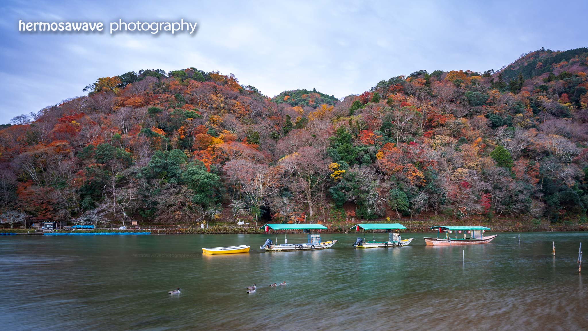 Autumn Foliage in Arashiyama
