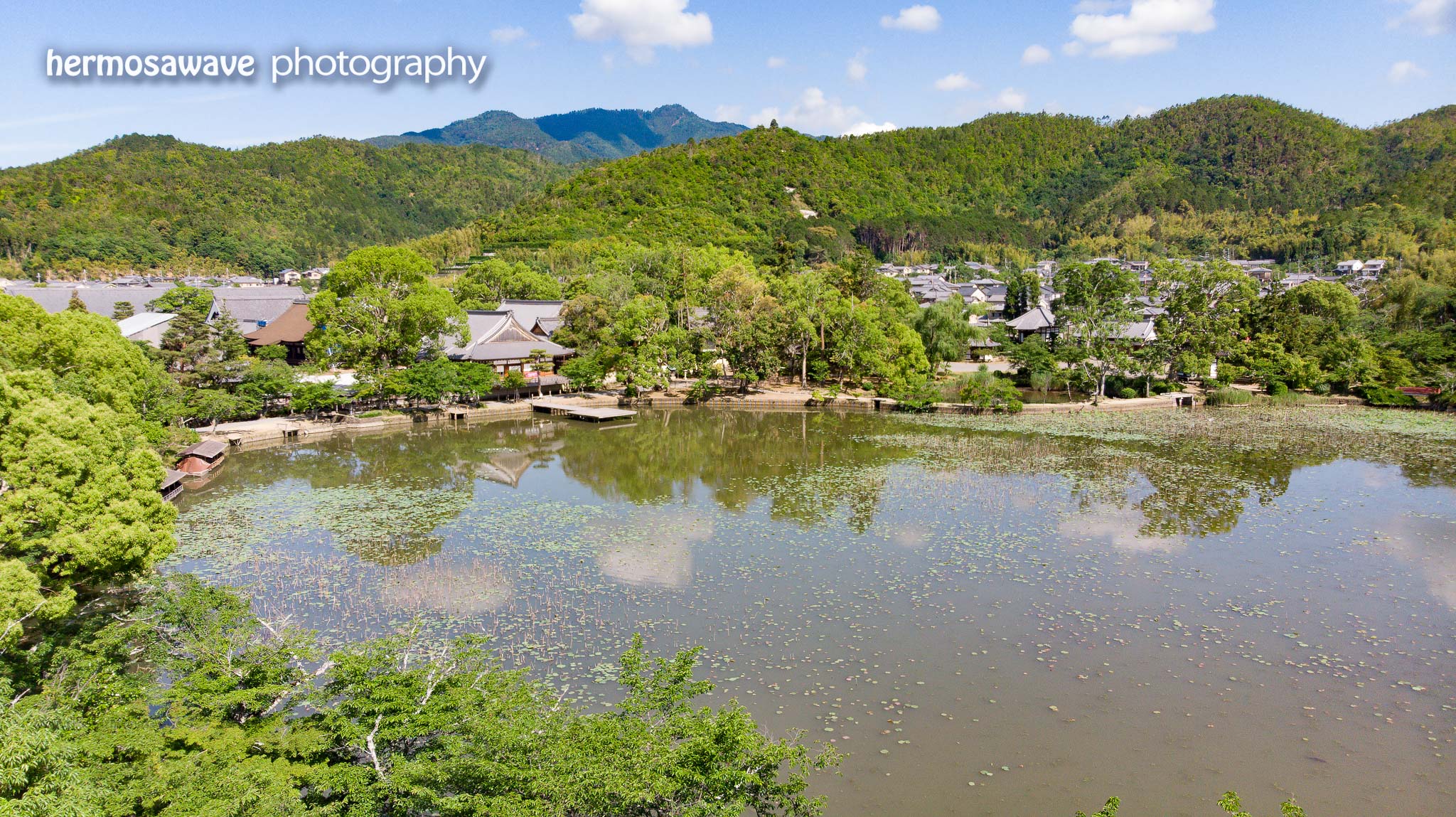 Osawa Pond • 大沢池