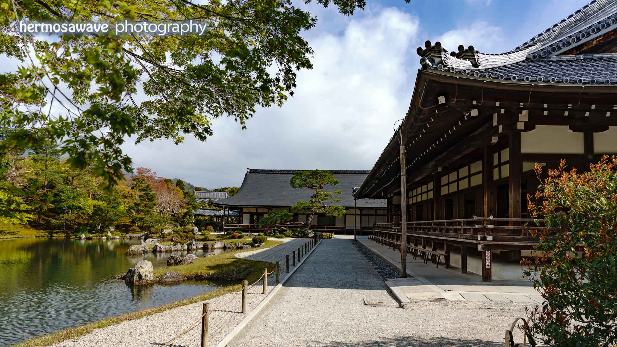 Alone at Tenryu-ji・天竜寺で一人で