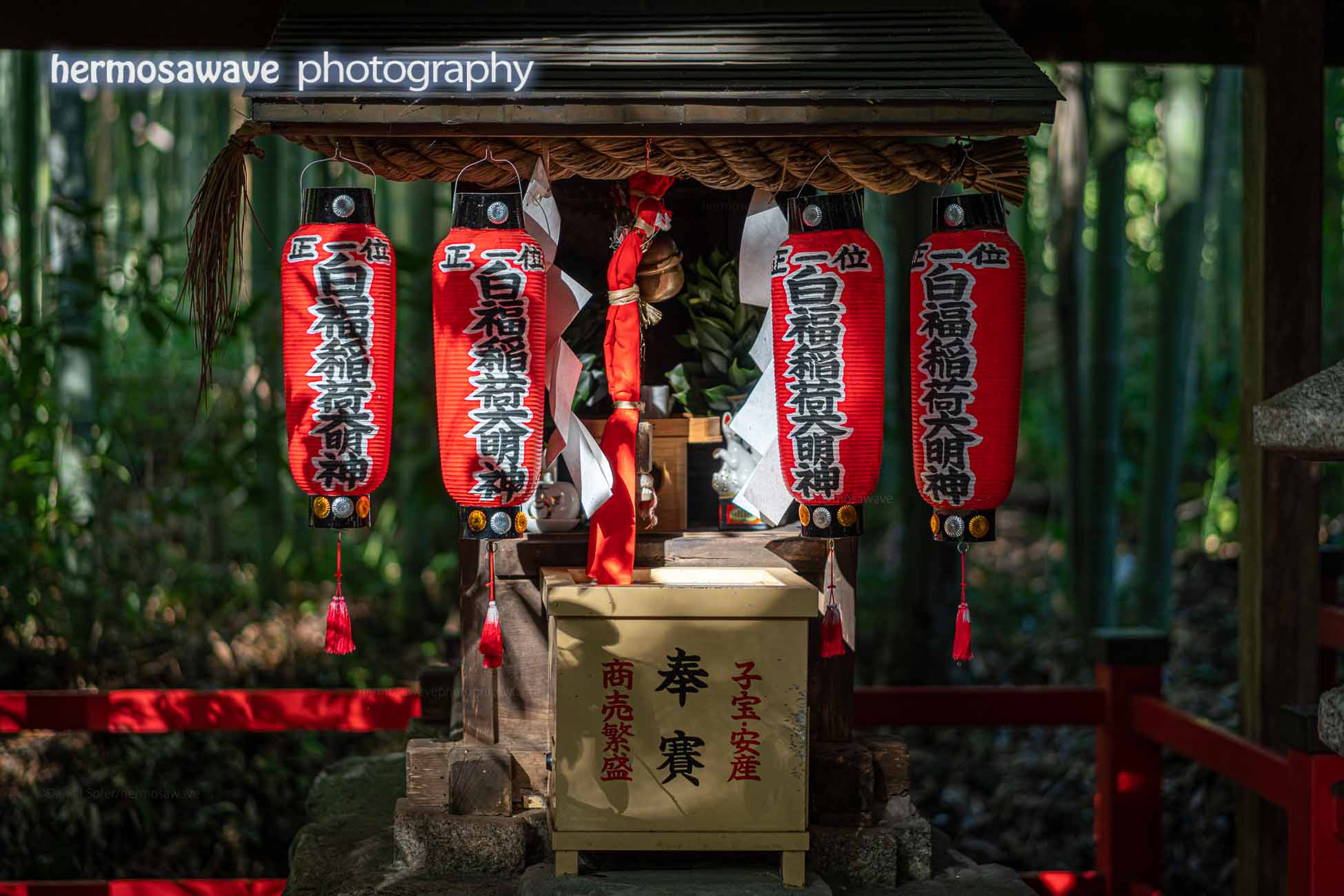 Little Shrine in the Forest・林の神社