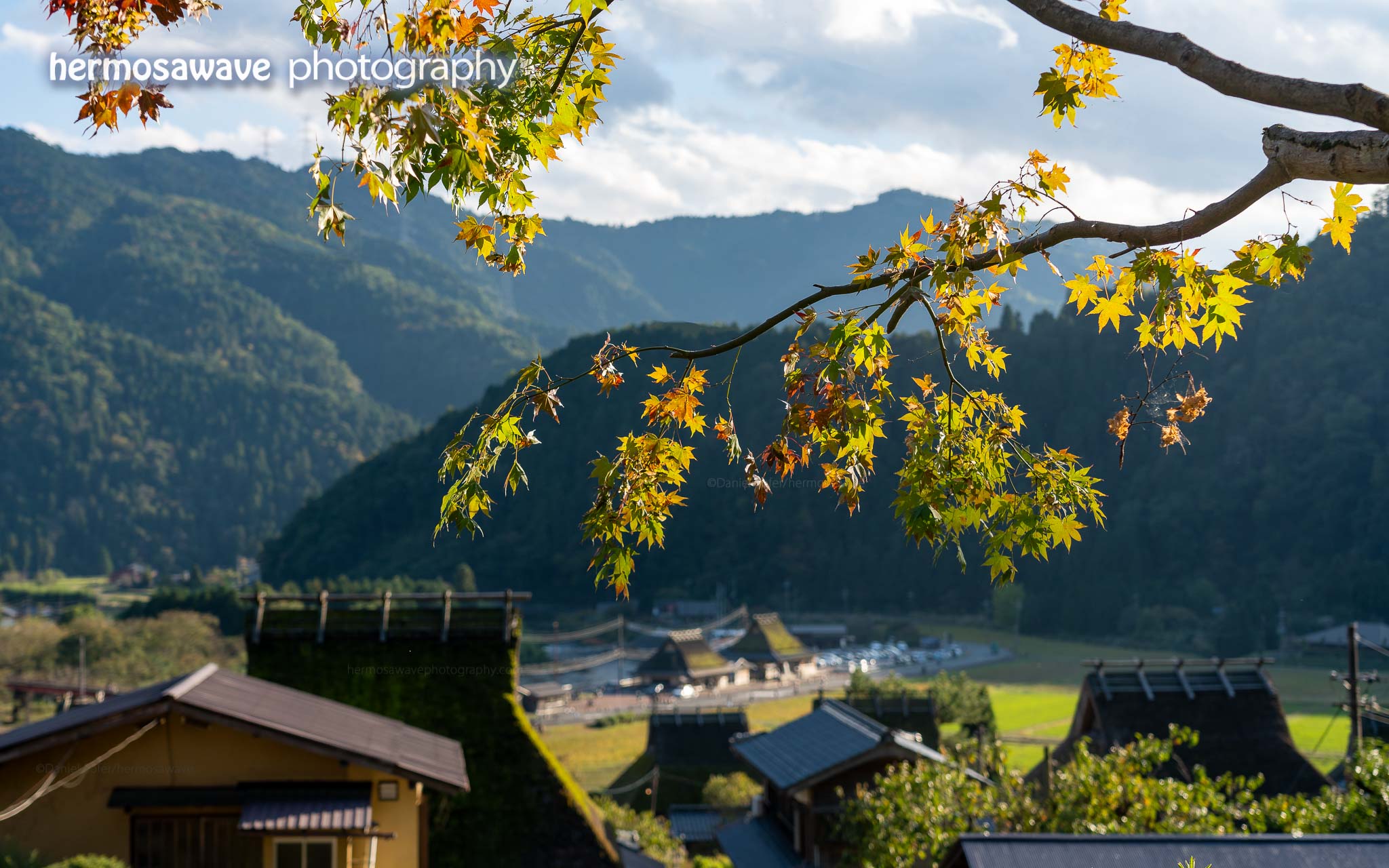 Miyama Autumn Leaves・美山の紅葉