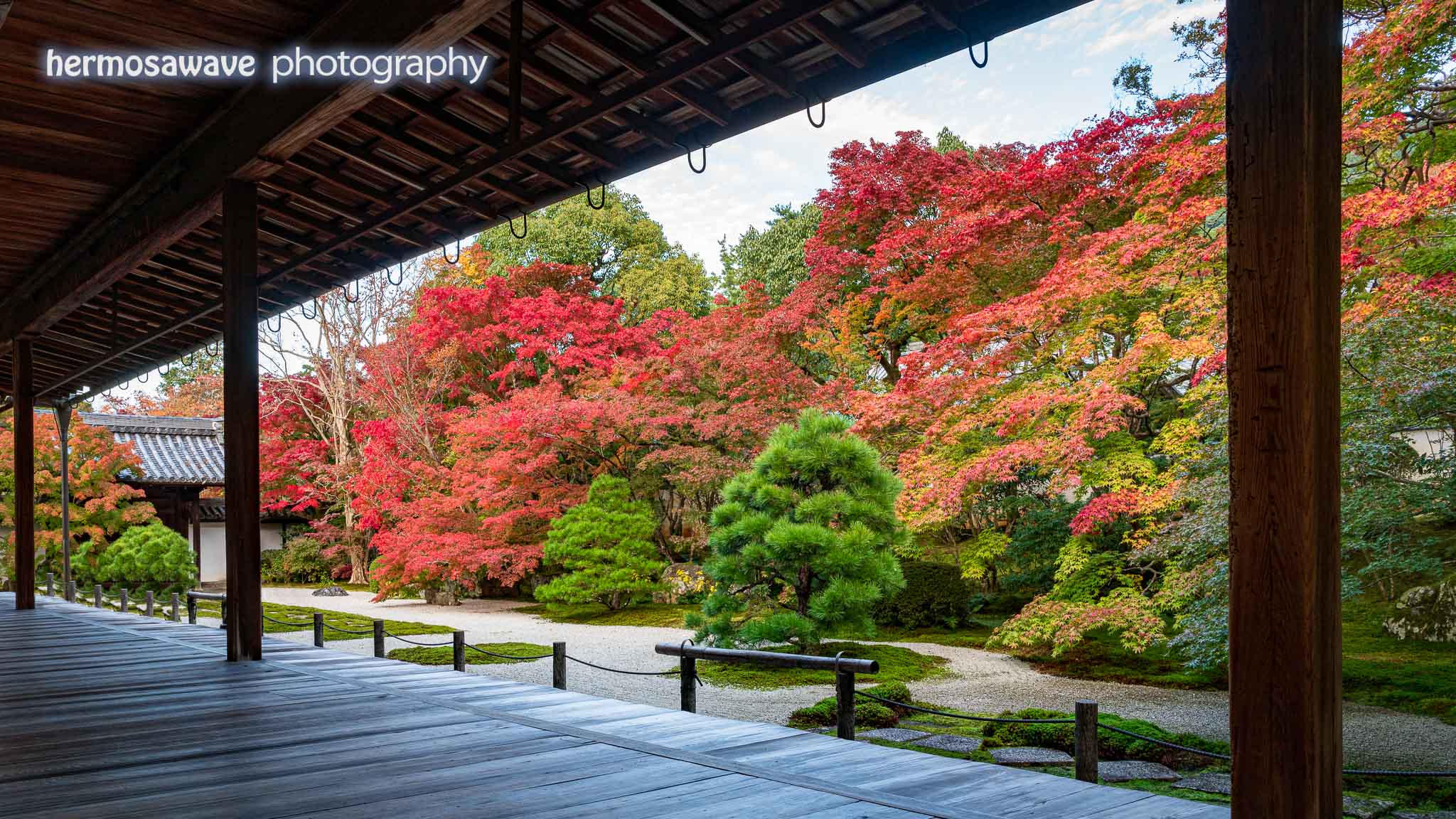 Tenju-an Garden・天授庵の庭園