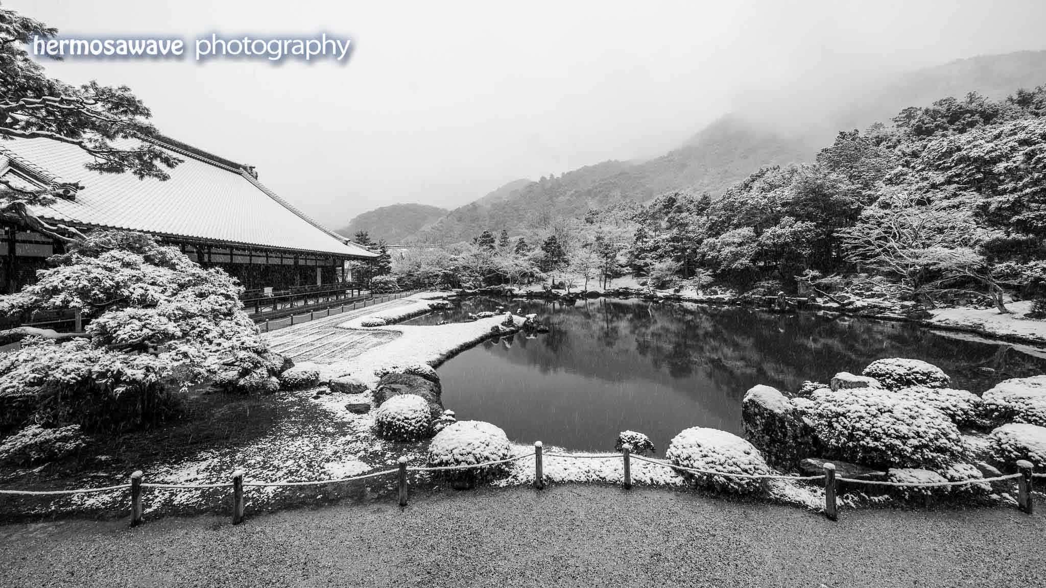 Snow at Tenryu-ji・天龍寺の雪