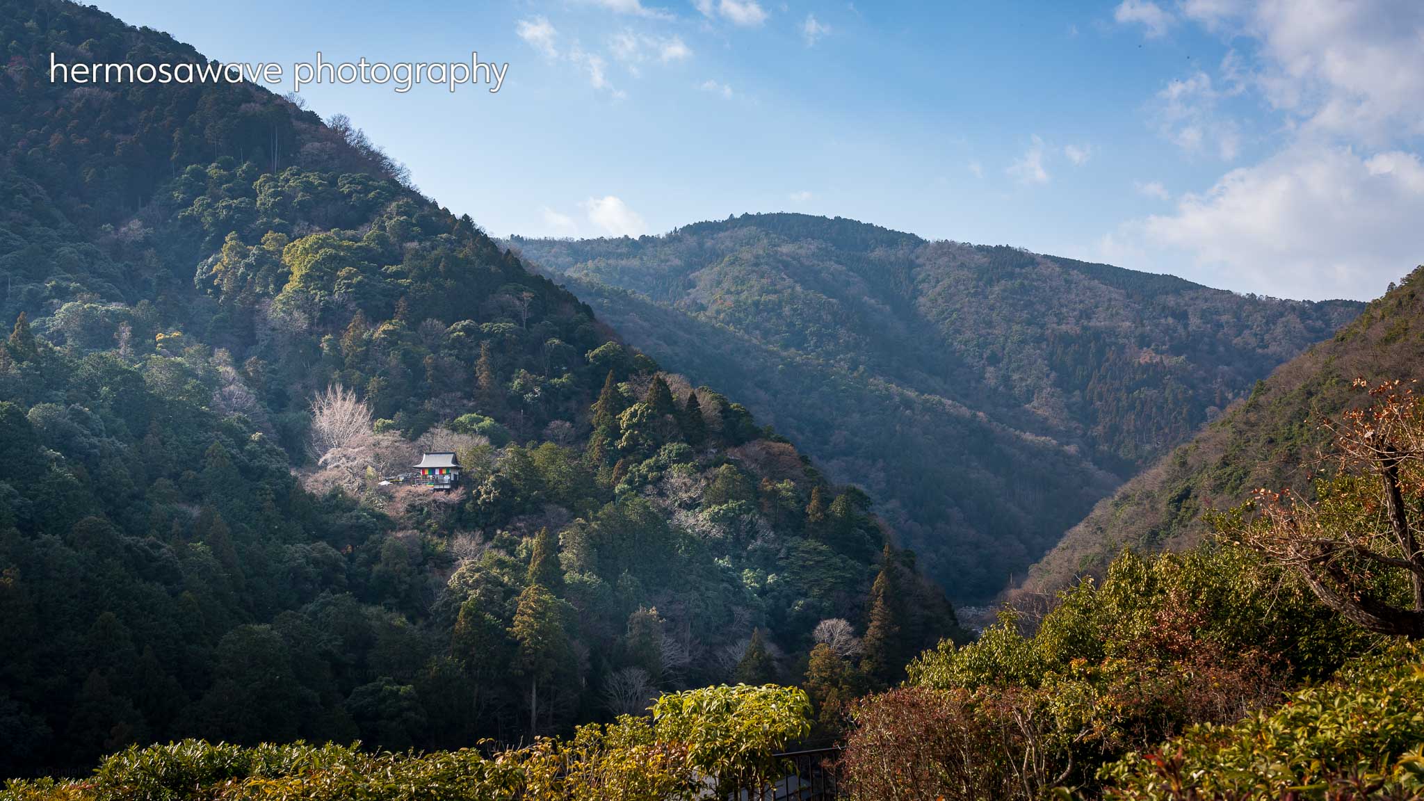 Hozugawa Canyon・保津川渓谷