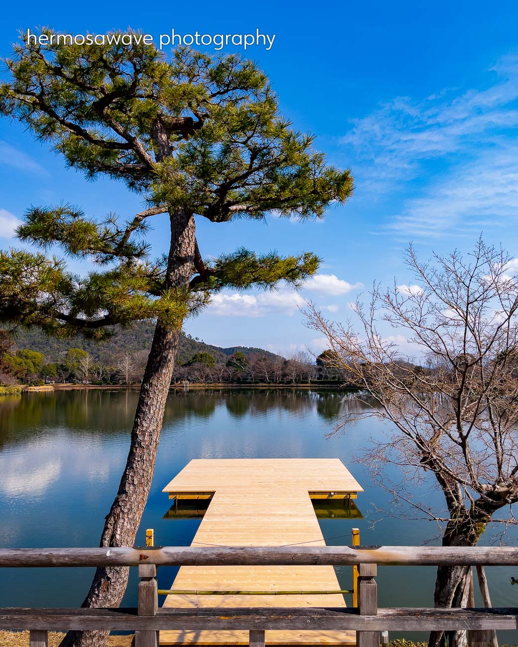 Osawa Pond・大沢池