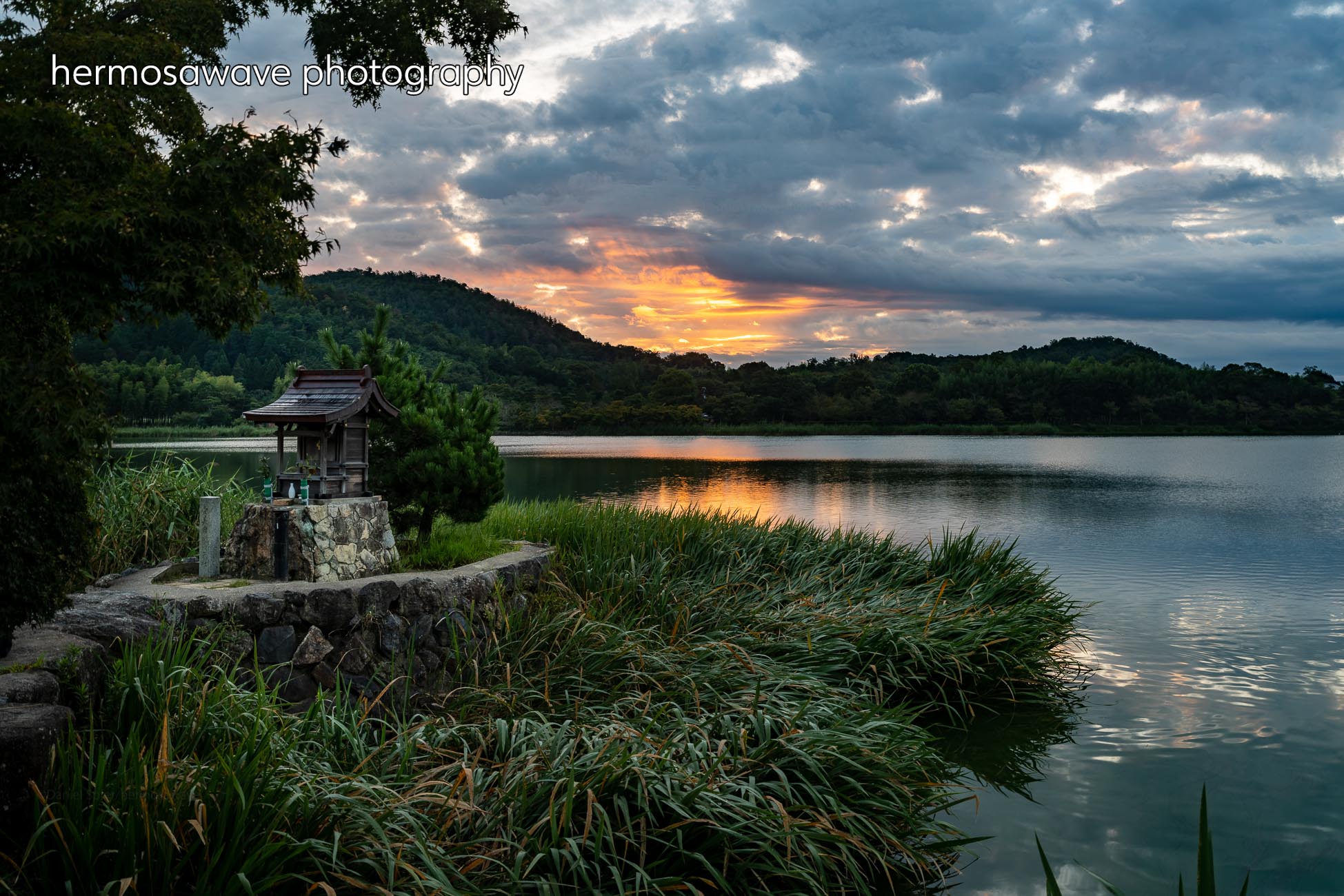Dawn at Hirosawa Pond・広沢池の明け方