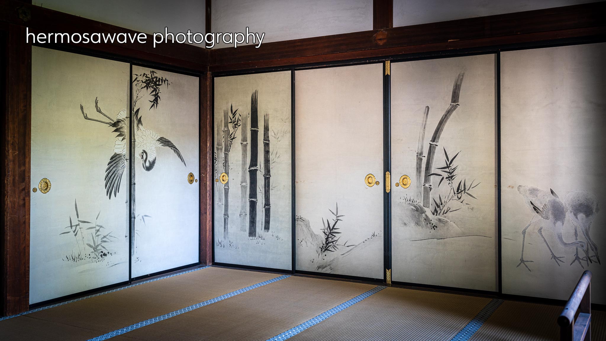 Fusuma at Daikaku-ji・大覚寺の襖