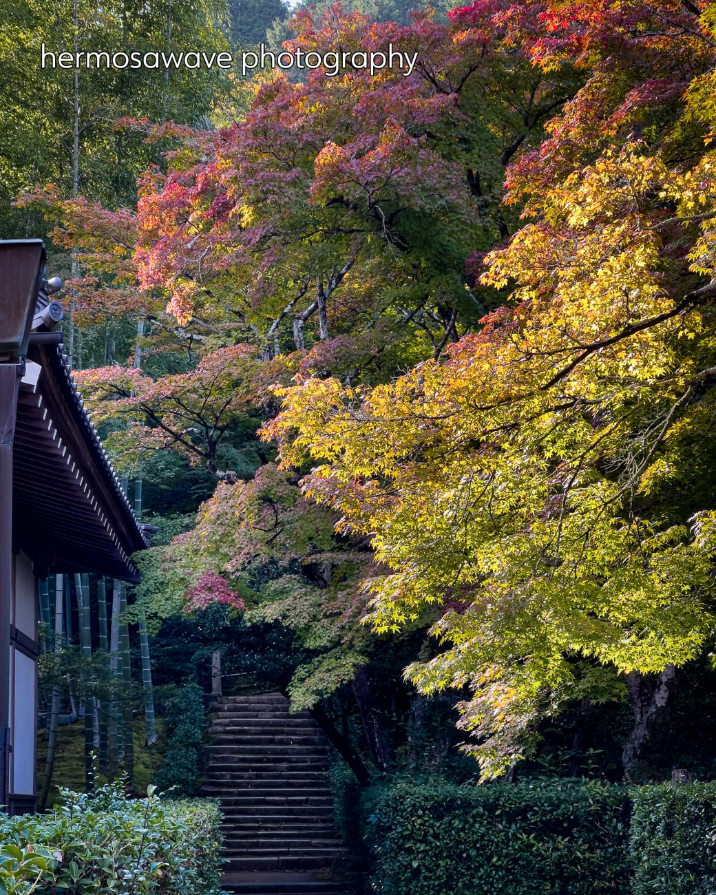 Autumn at Jojakko-ji・常寂光寺の秋