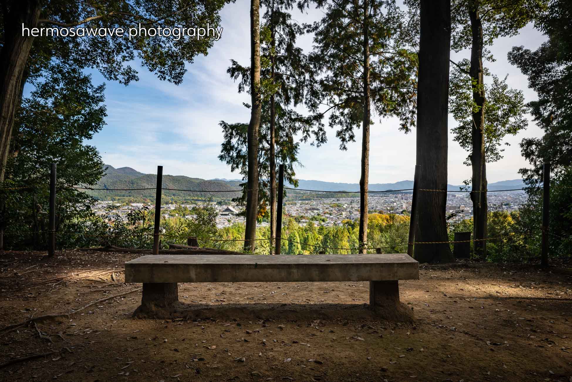 Bench With a View・眺めの良いベンチ
