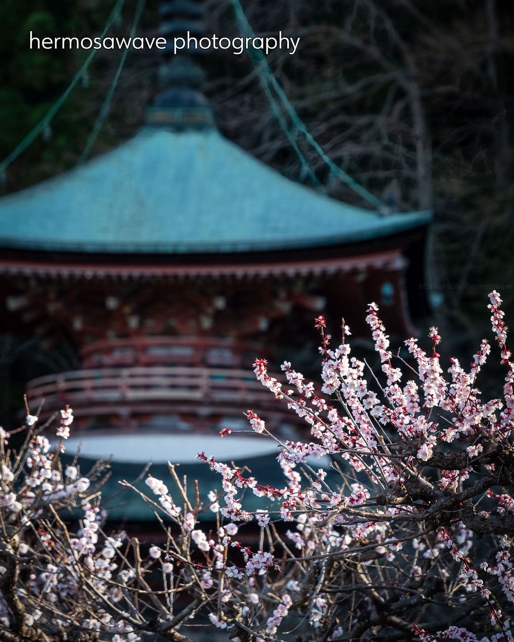 Horin-ji Pagoda・法輪寺の塔