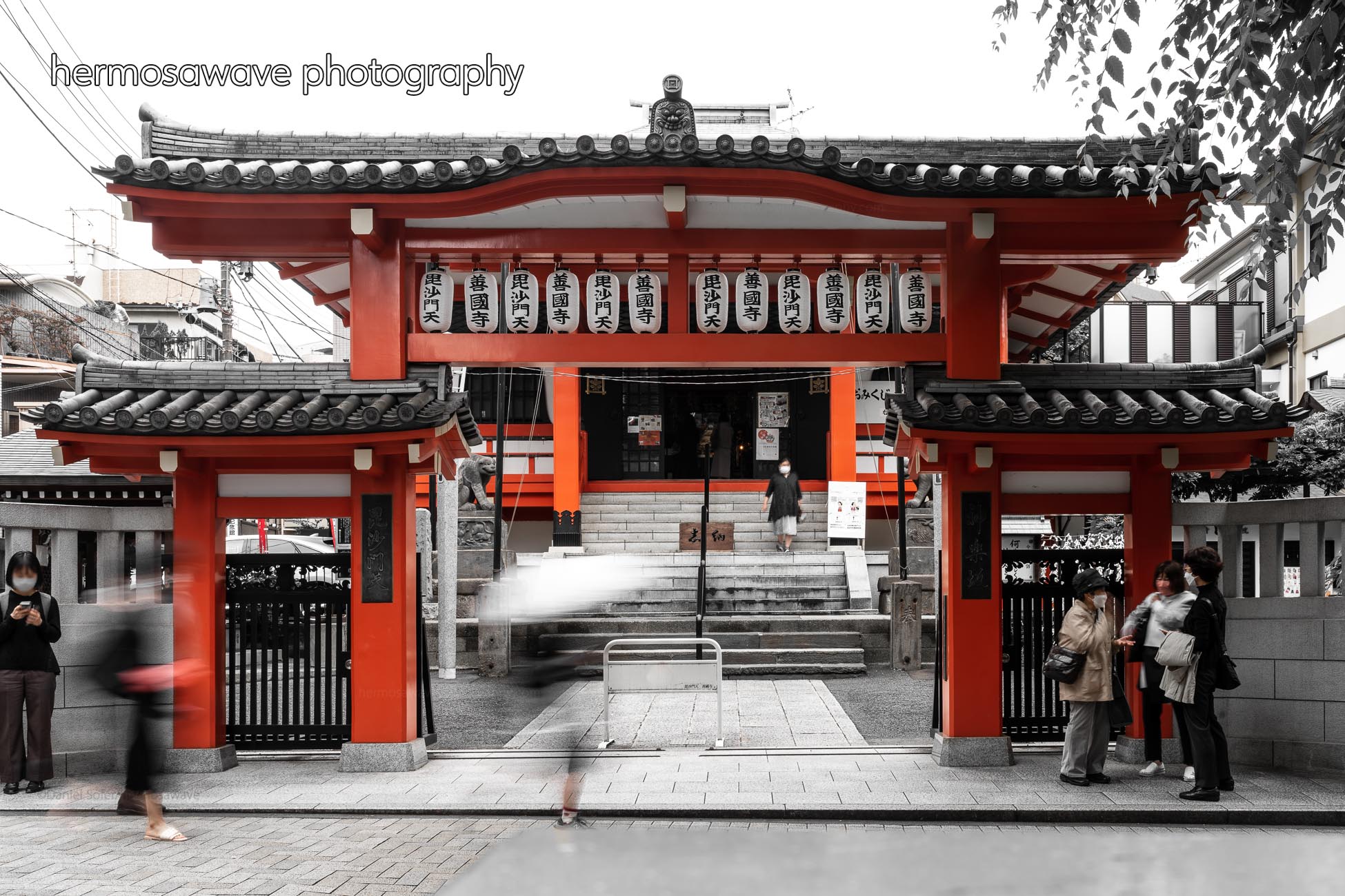 Zenkokuji・善國寺
