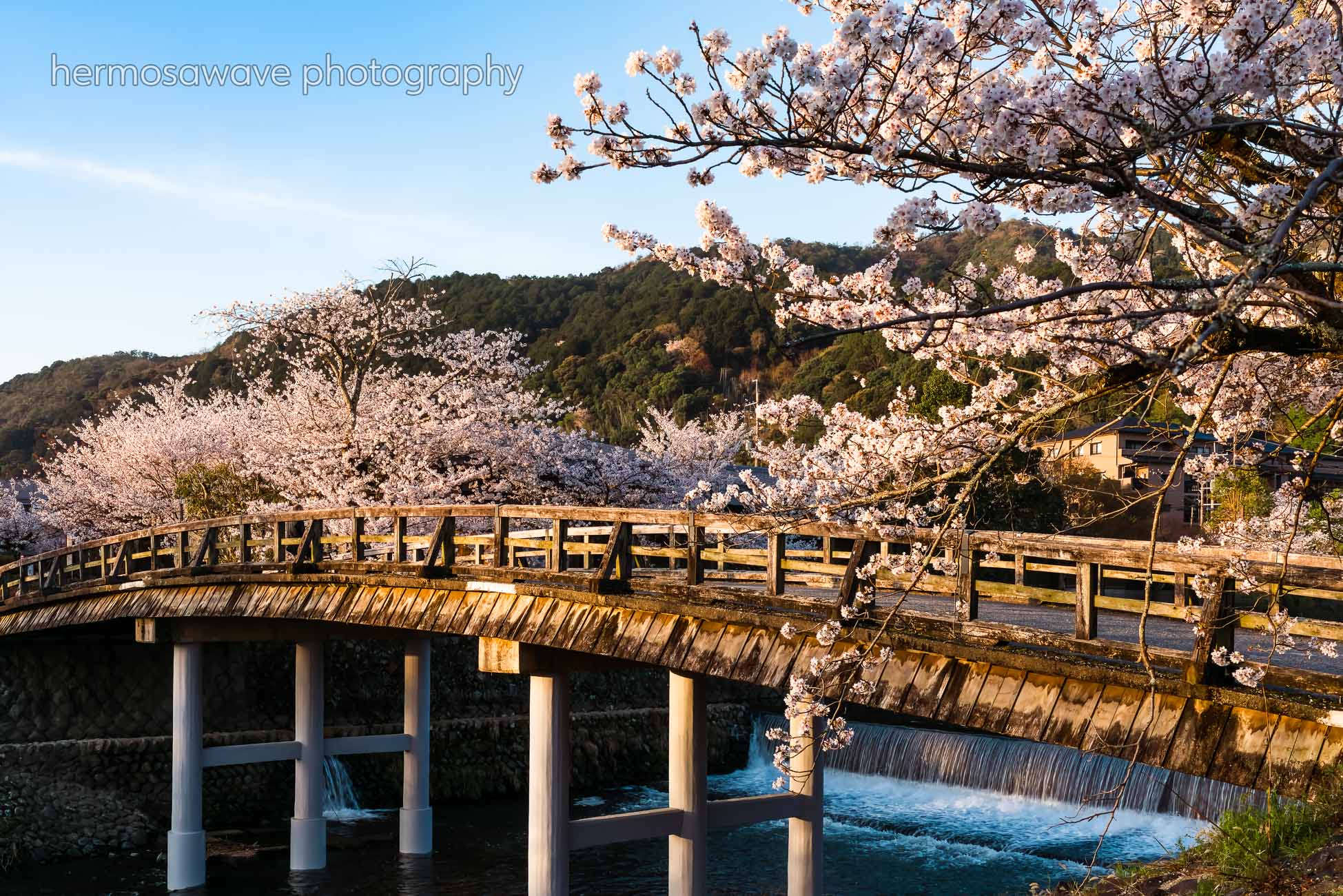 Nakanoshima Bridge・中ノ島橋