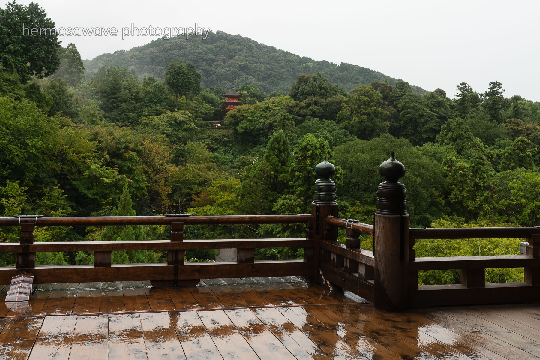 Kiyomizudera in the Rain・雨の清水寺