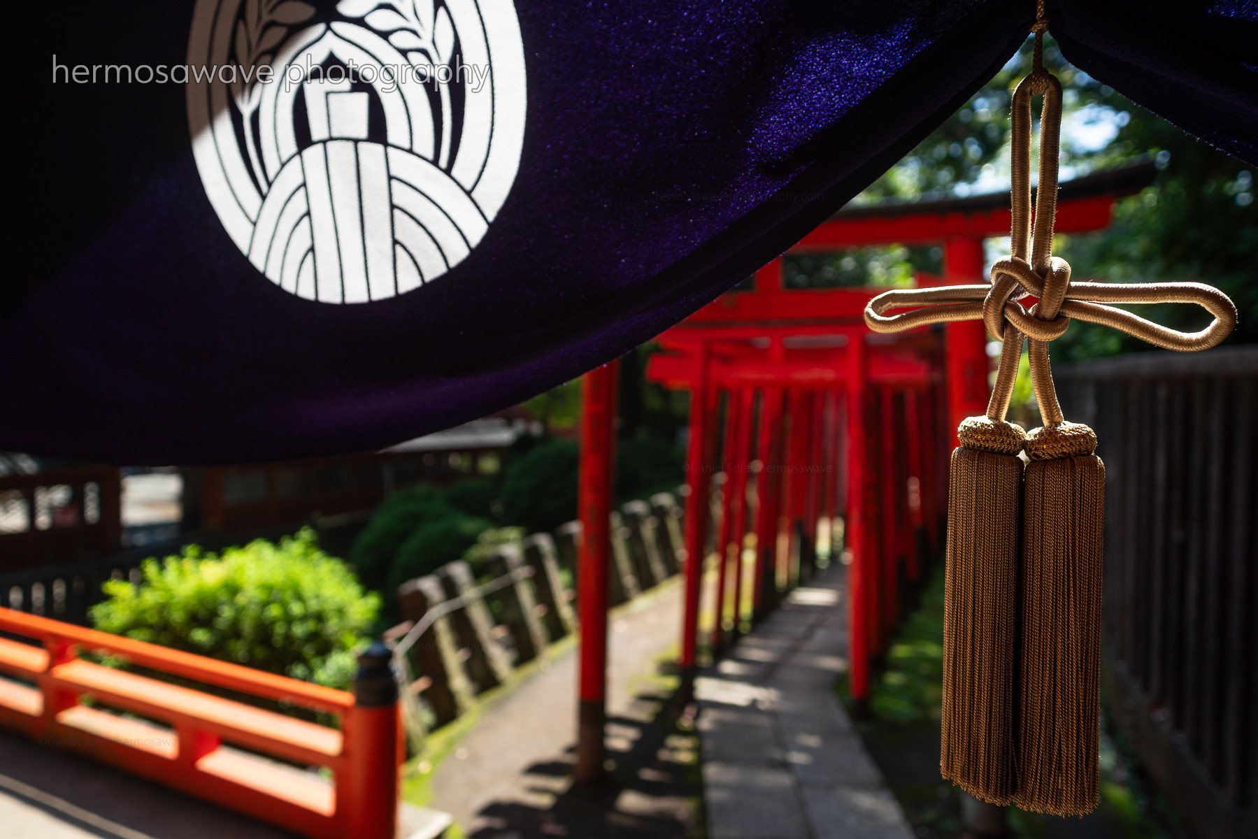 Nezu Shrine・根津神社