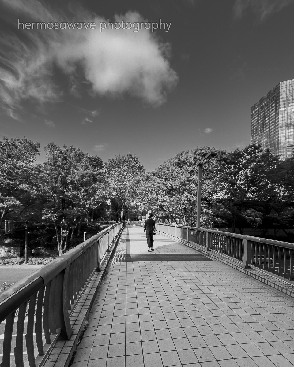 Chuo Park Bridge・中央公園橋