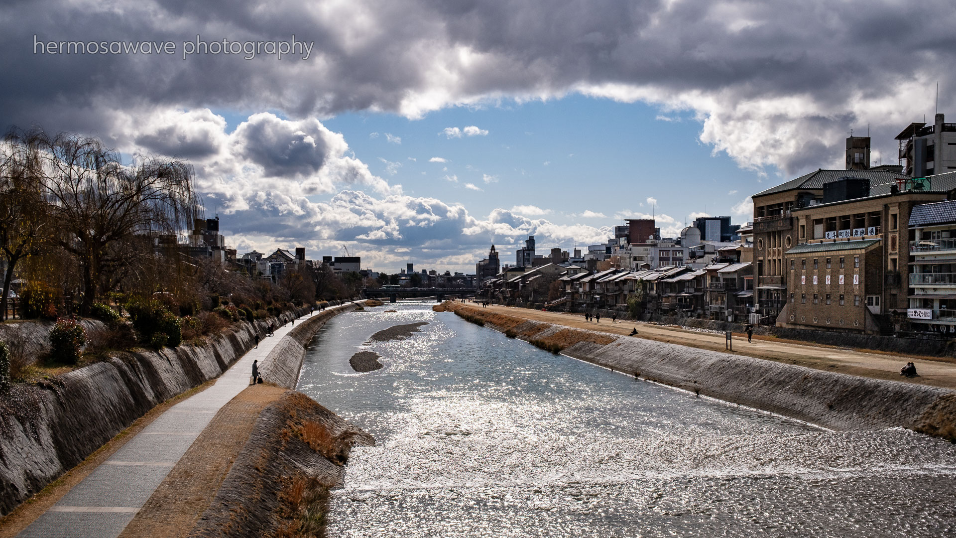 Winter on the Kamogawa・鴨川の冬