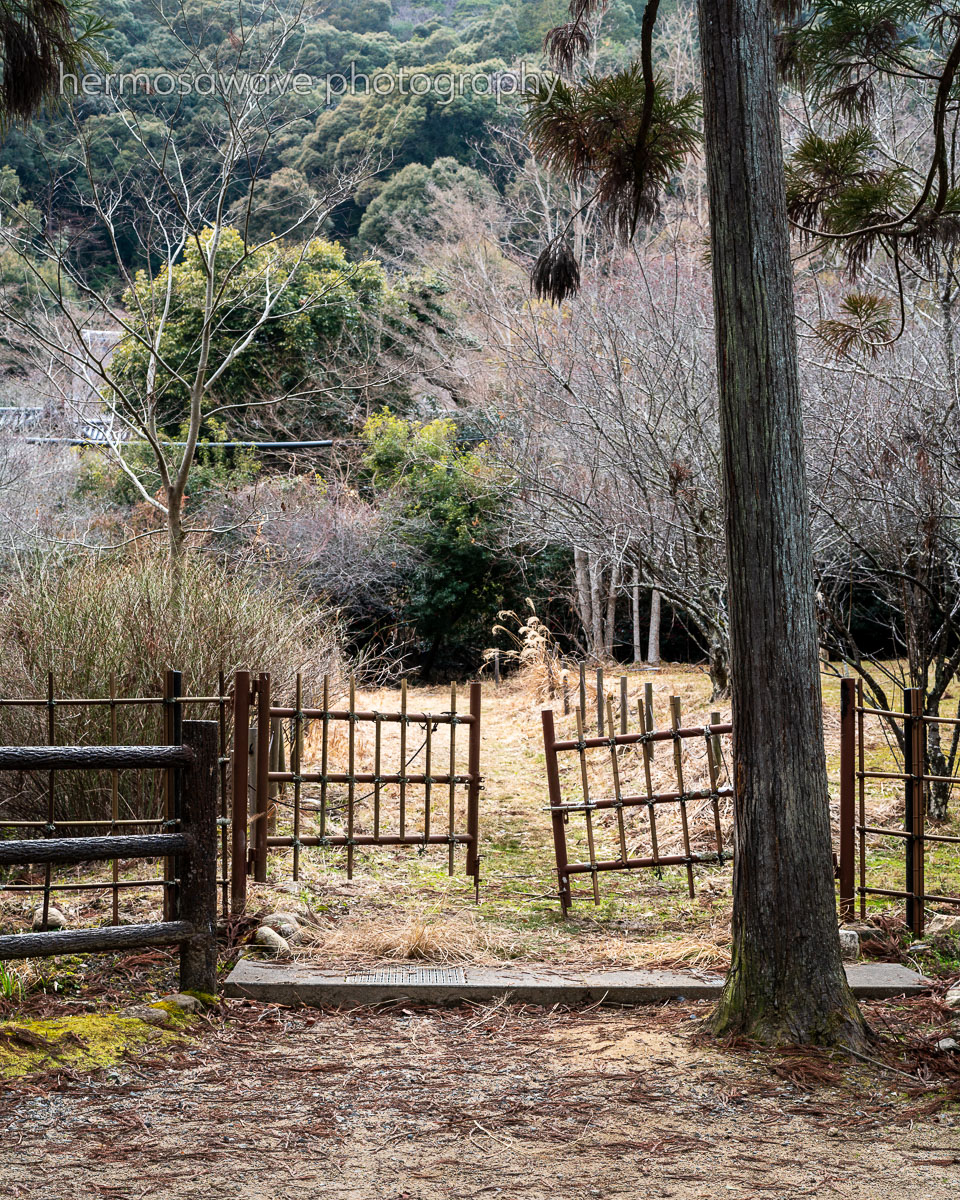 Open Gate・開いた門