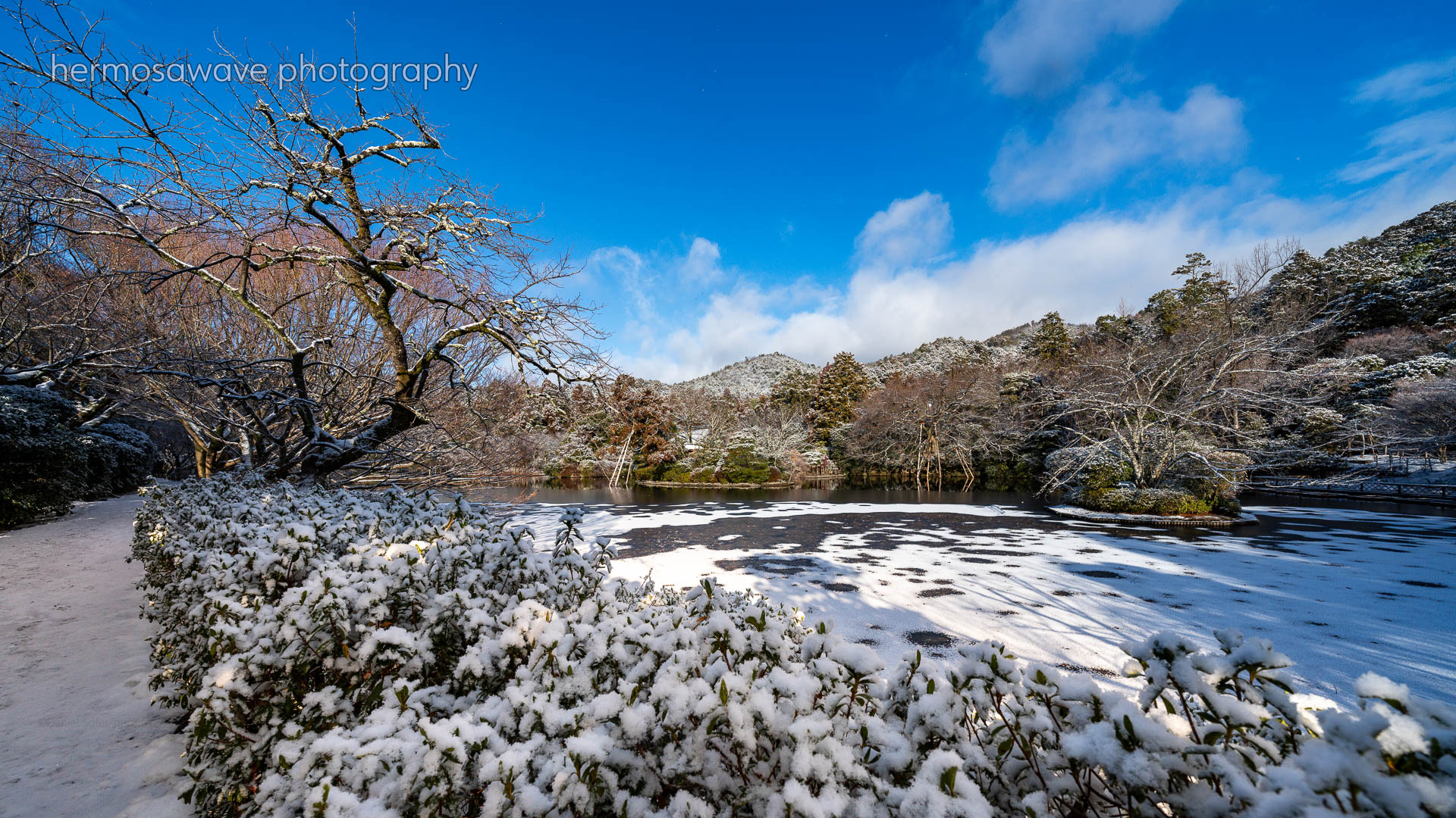 Kyoyochi Pond・鏡容池