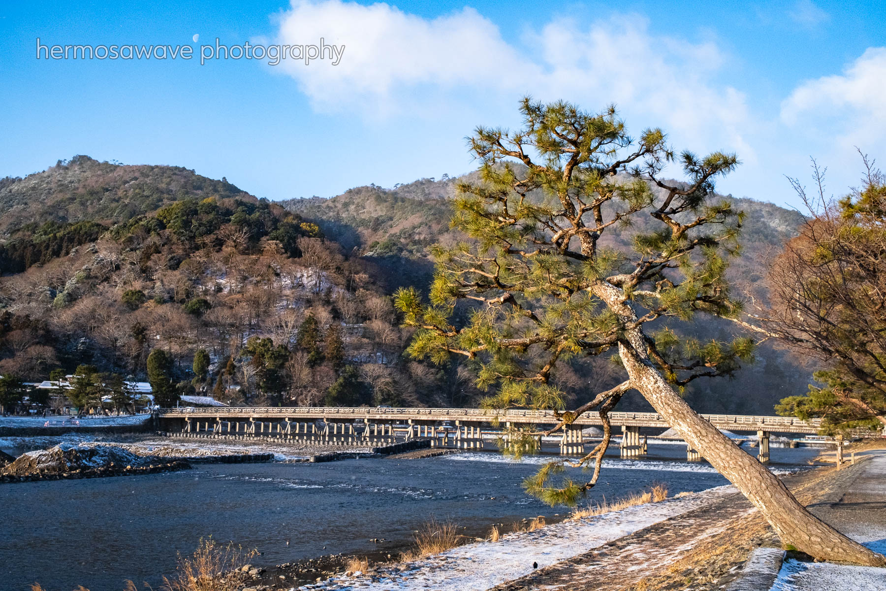 Arashiyama Morning・朝の嵐山