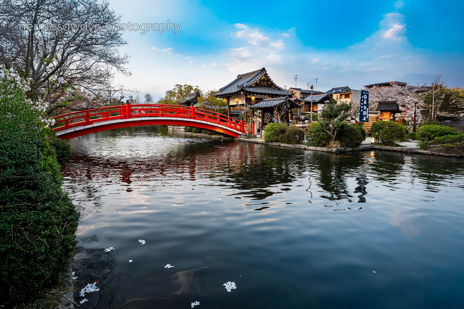 Magic Hour at Shinsenen・神泉苑のマジックアワー