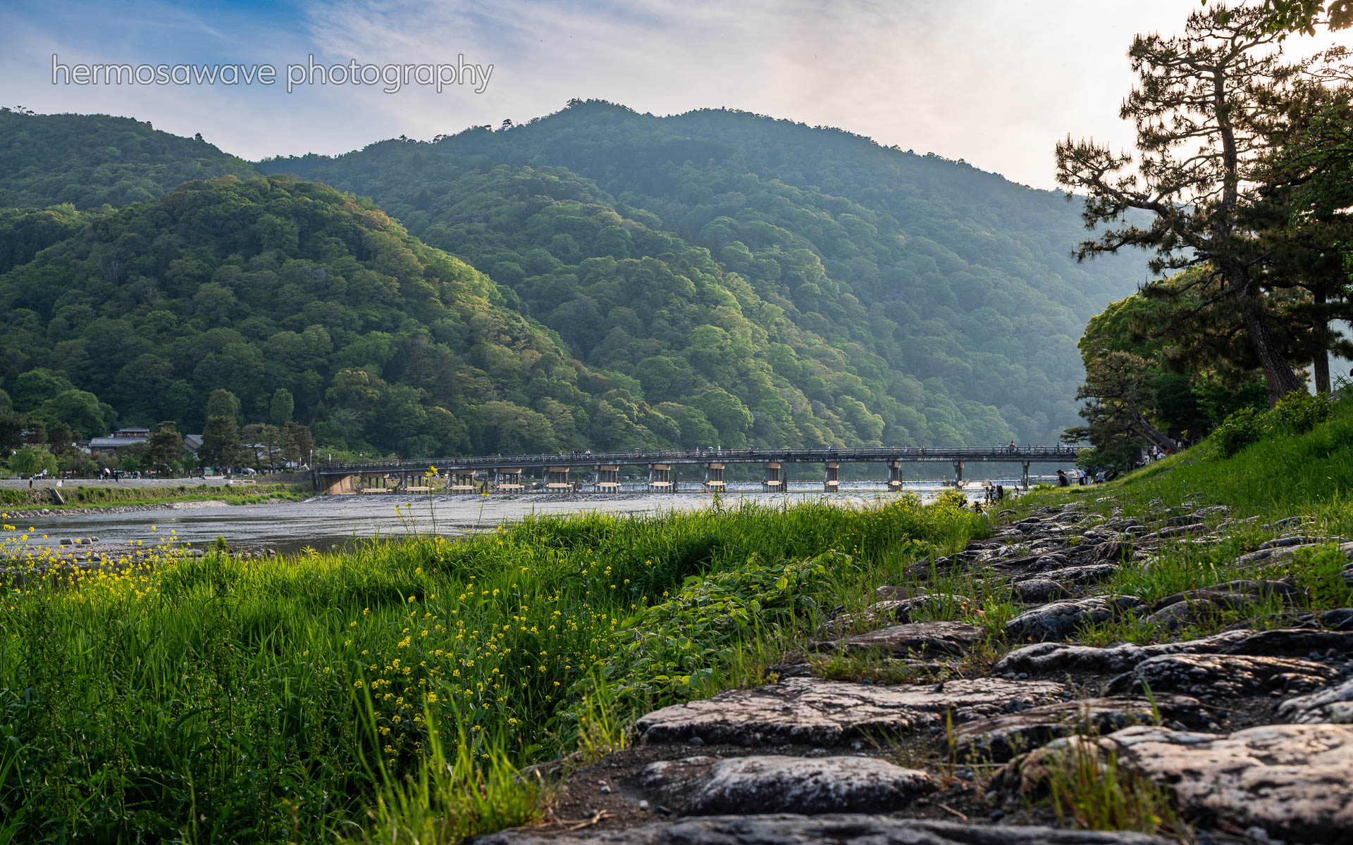 Afternoon in Green・緑の午後