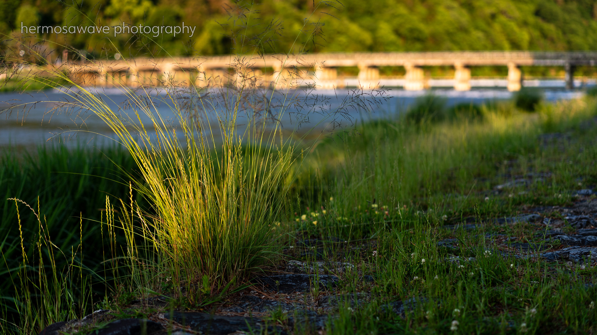 Katsura River・桂川