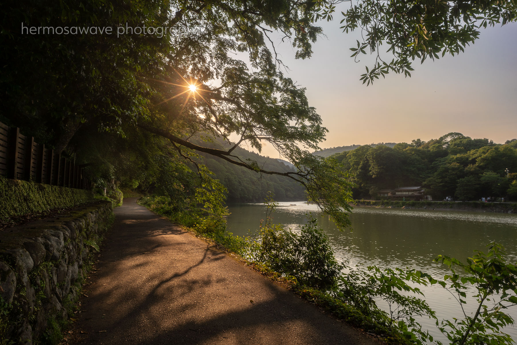 Evening Walk・夕方の散歩