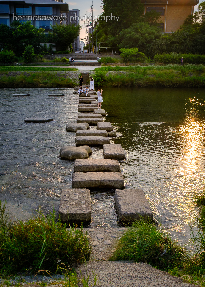 Stepping Stones・飛び石