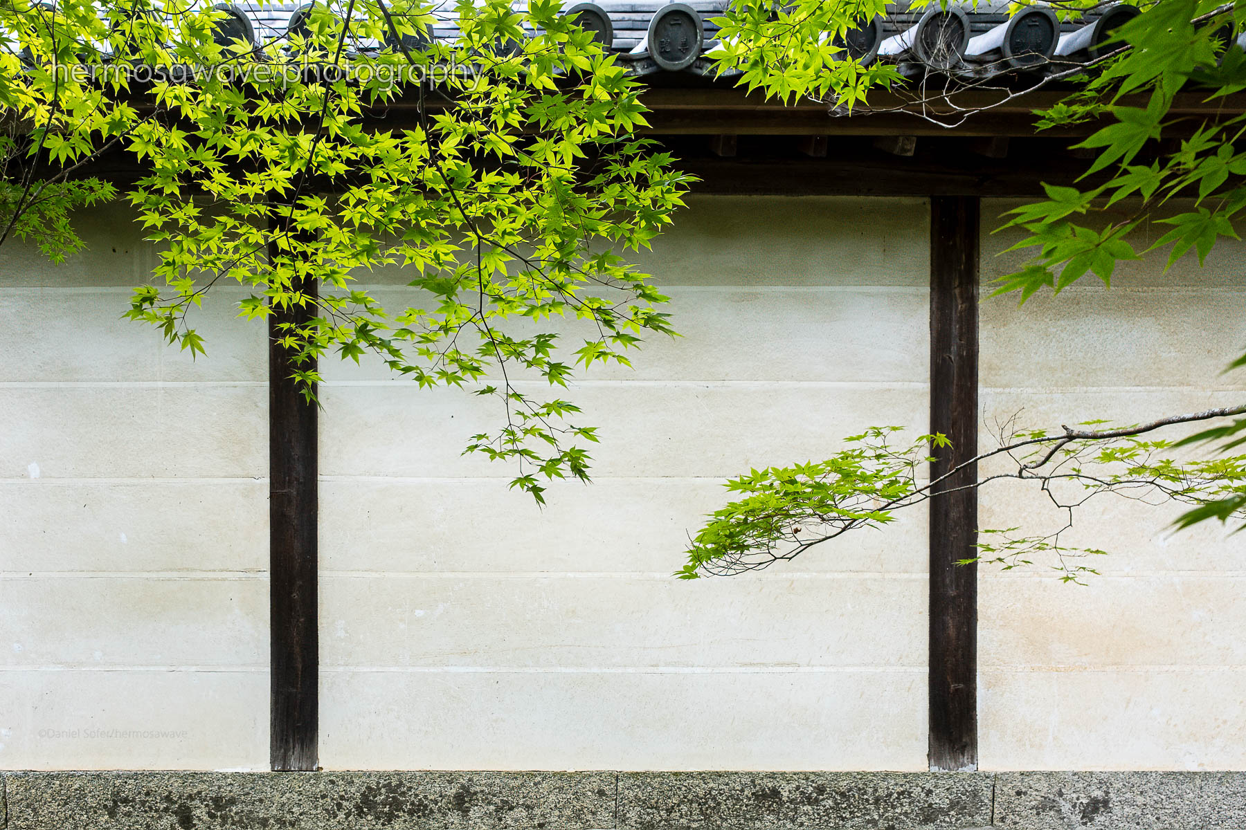 Nison-in・二尊院