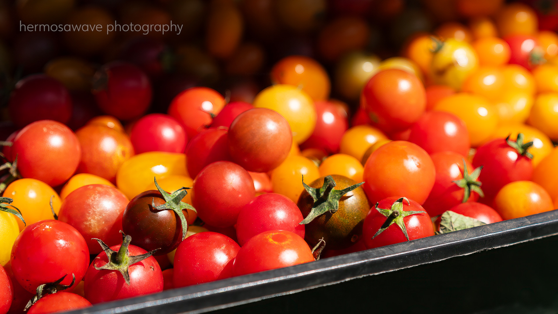 Farmers  Market