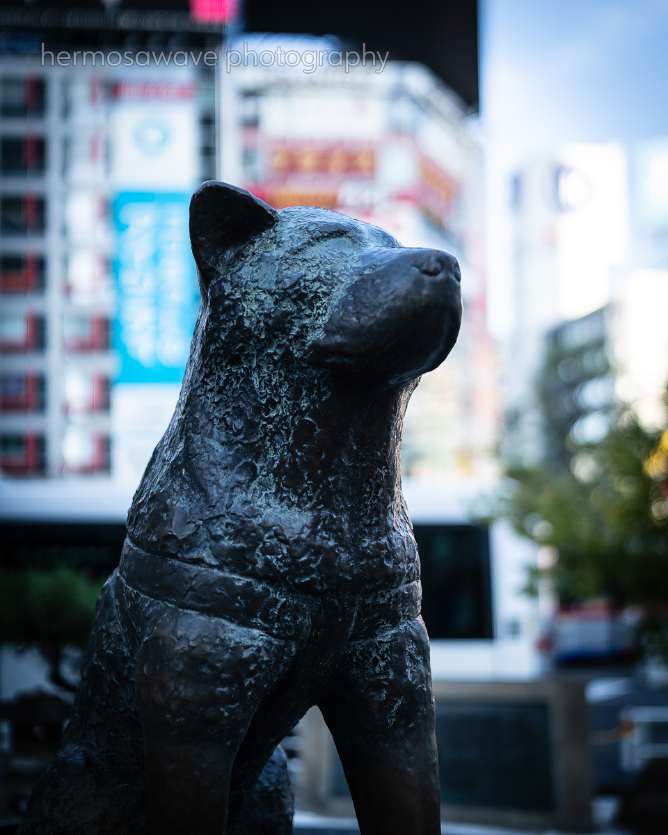 Hachiko・ハチ公
