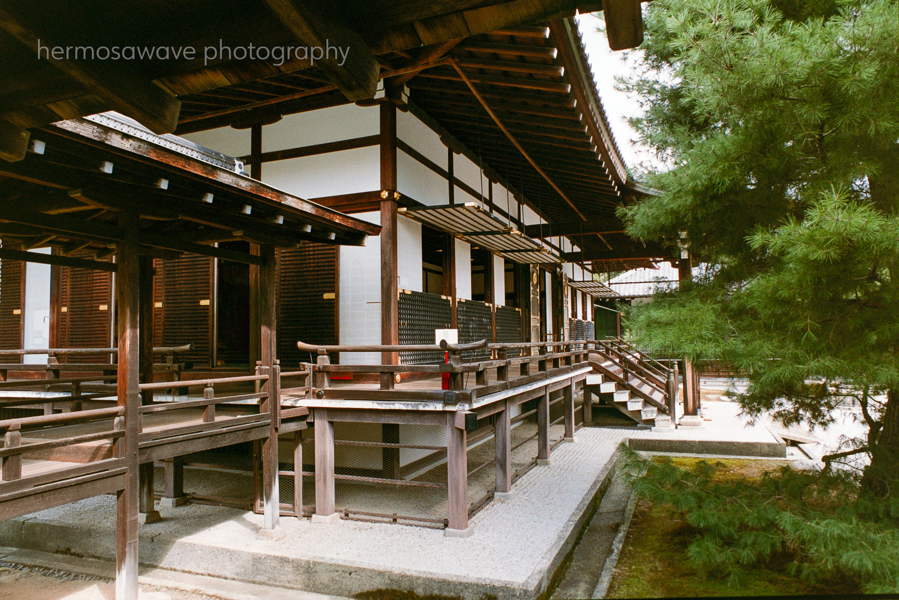 Daikaku-ji Temple・大覚寺