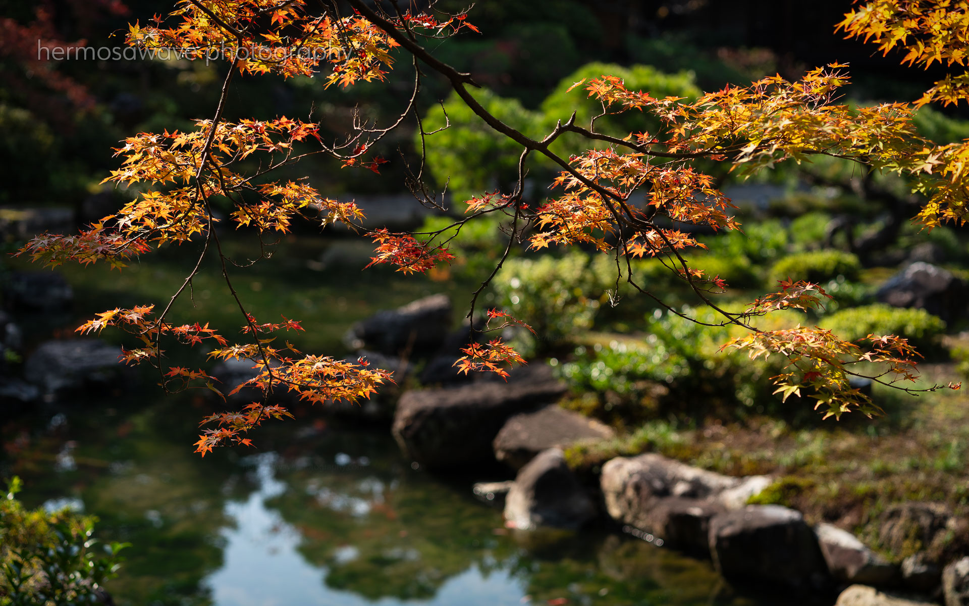 Tairyu Sanso・對龍山荘