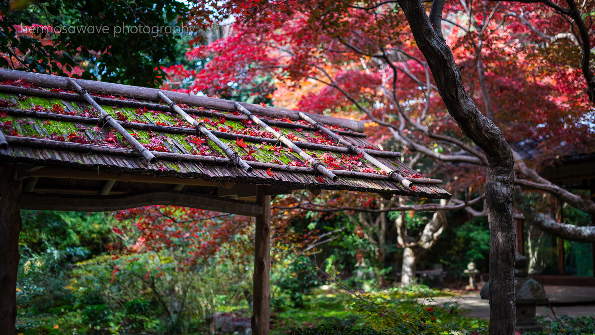 Enrian Temple・厭離庵