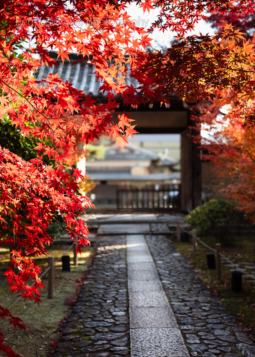 Rokuoin Gate・鹿王院門