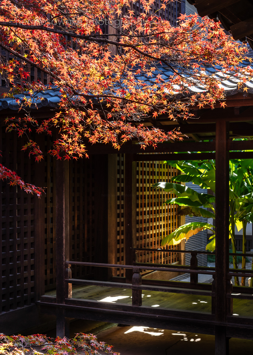 Kennin-ji・建仁寺