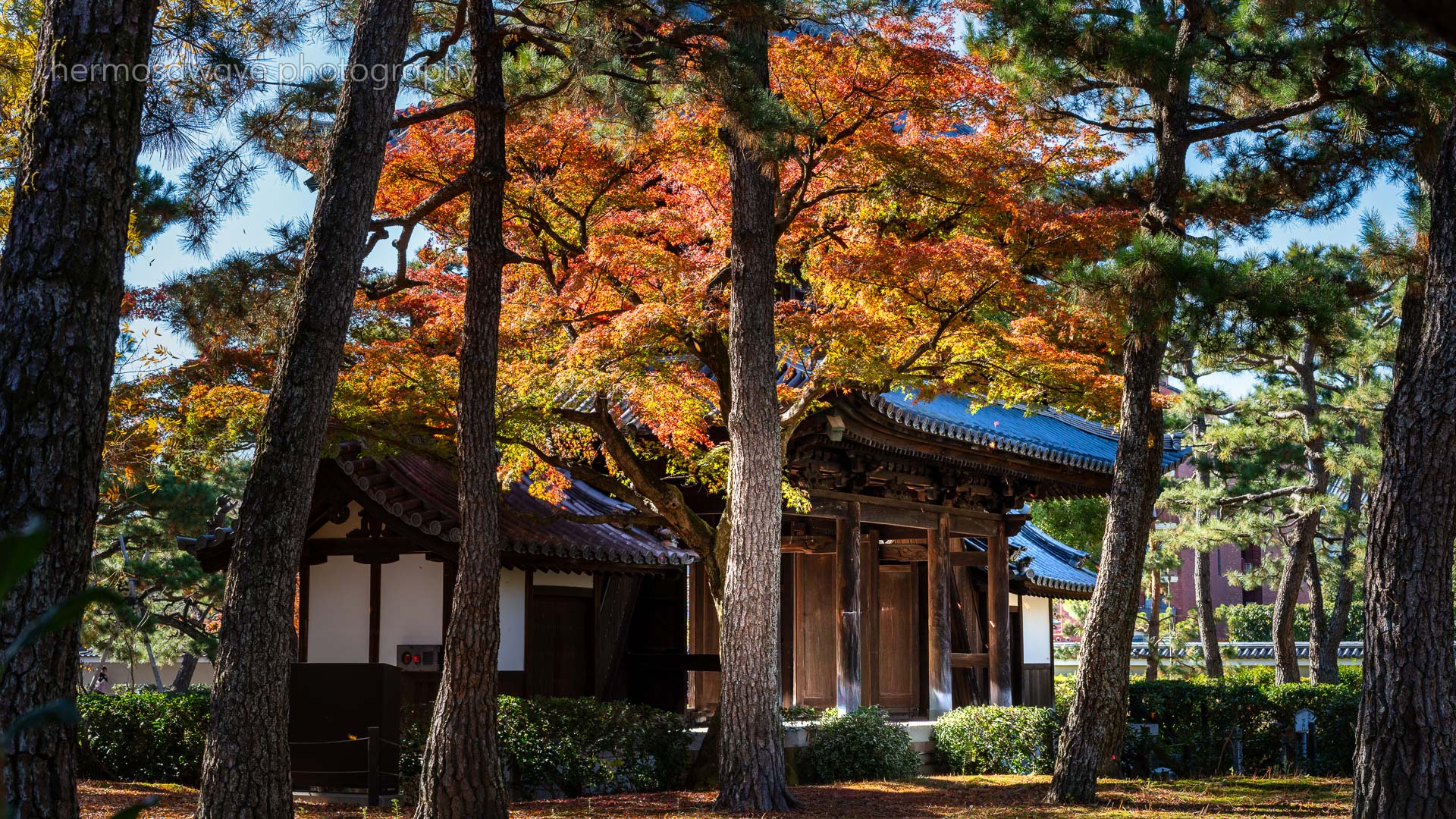 Sammon Gate・三門