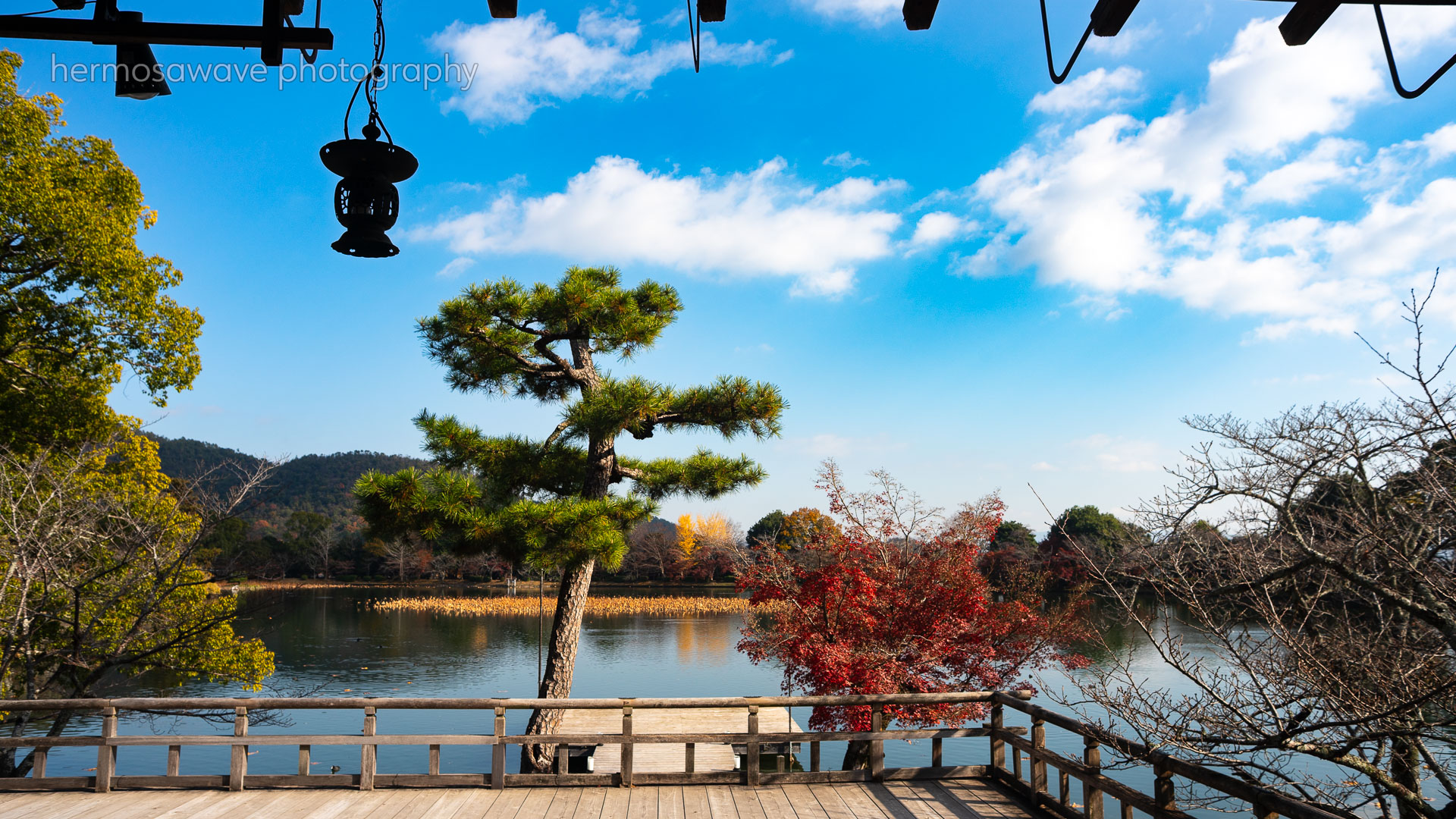 Osawa Pond・大沢池