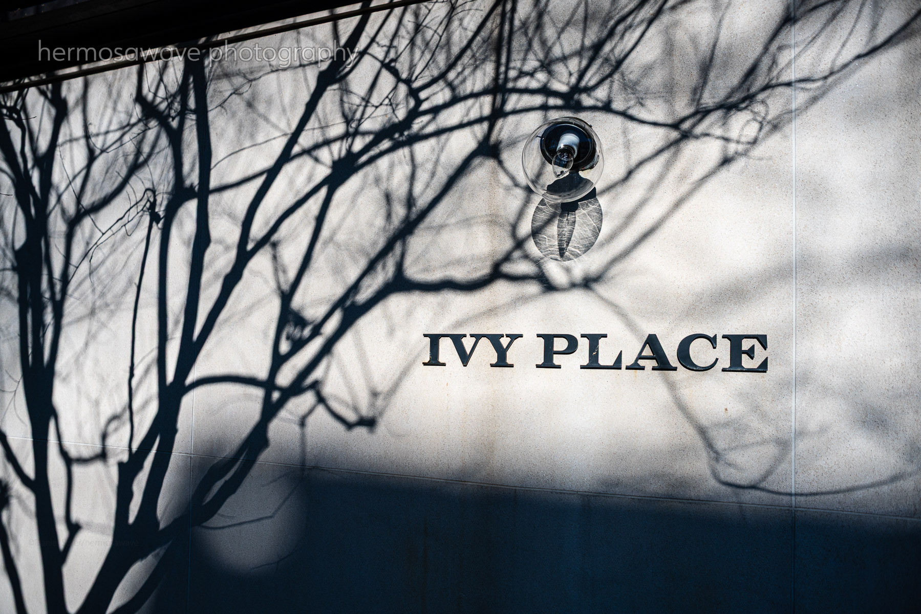 Ivy Place