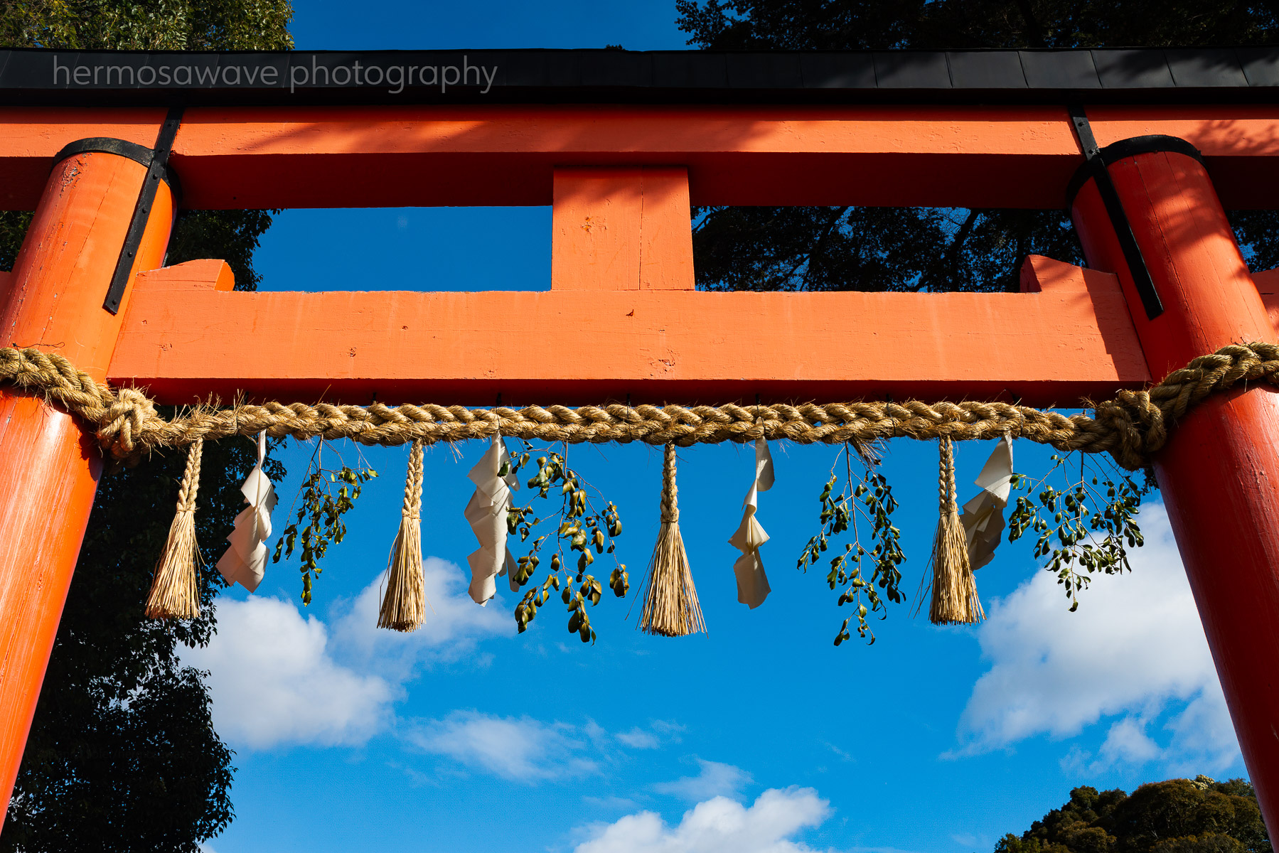 Torii・鳥居